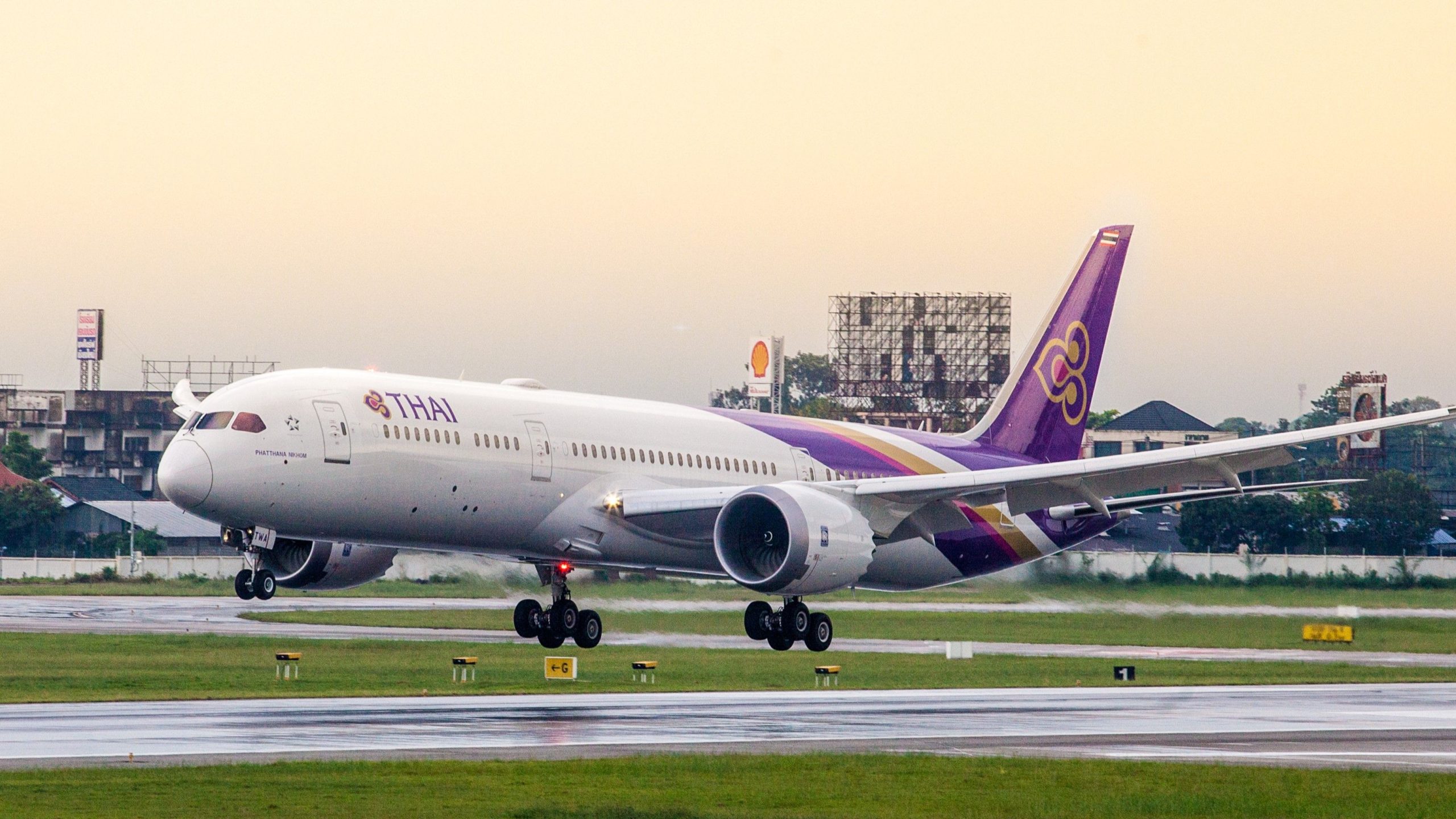 バンコクの乗客荷物の中に87個の動物が見つかりました