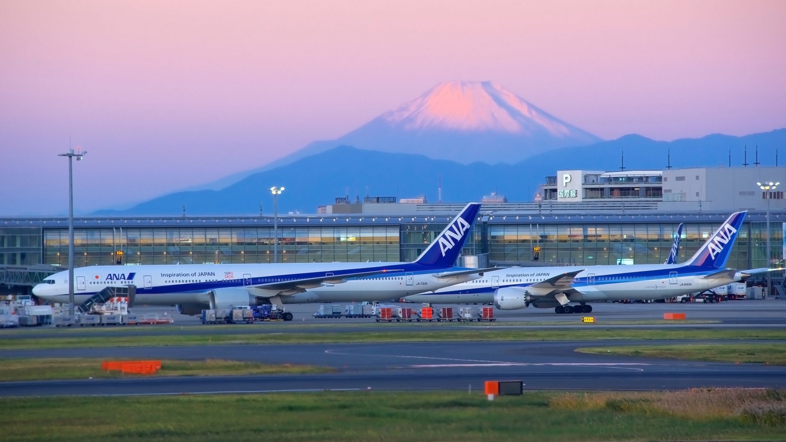東京への空の旅はトレンドです：これが米国からのあなたのフライトオプションです