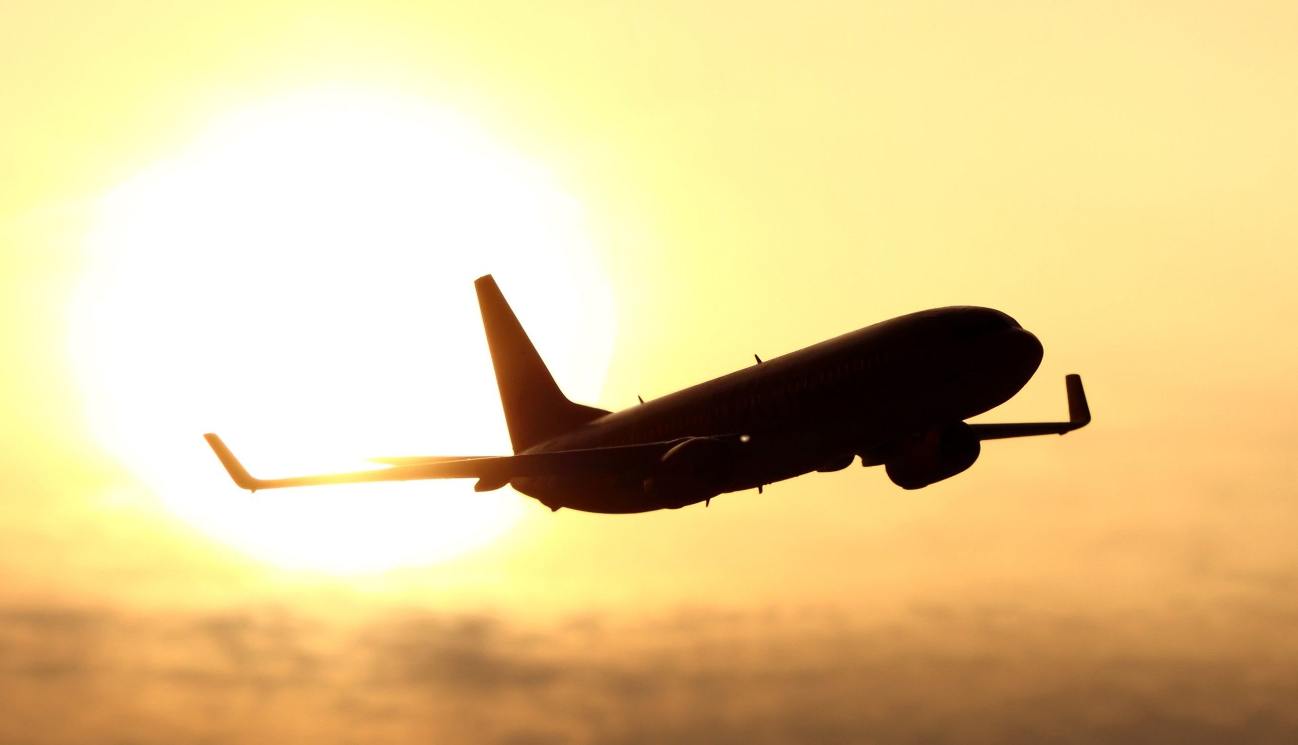 飛行機のヘビ？マイアミのTSAによって停止した奇妙な密輸の試み