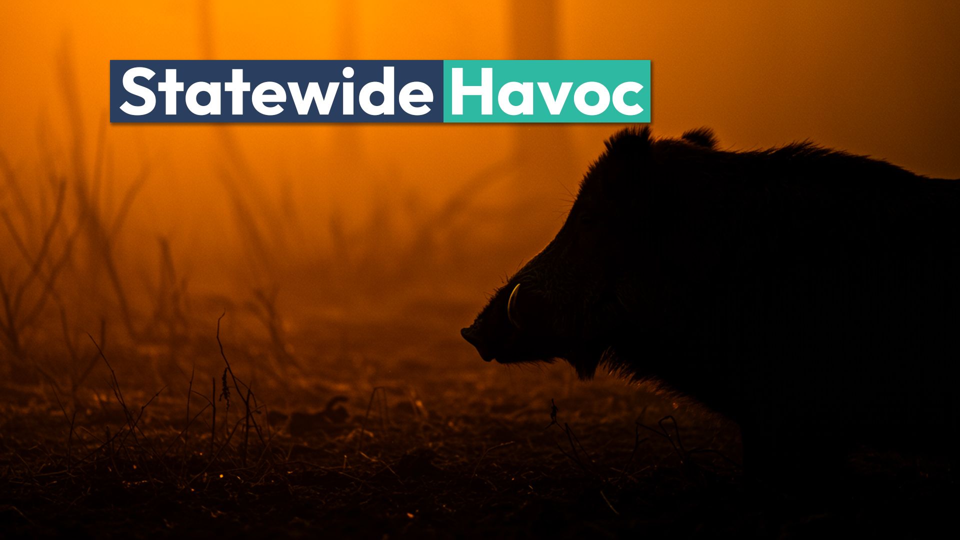 この動物は、この米国のほぼすべての郡で大混乱を引き起こしています