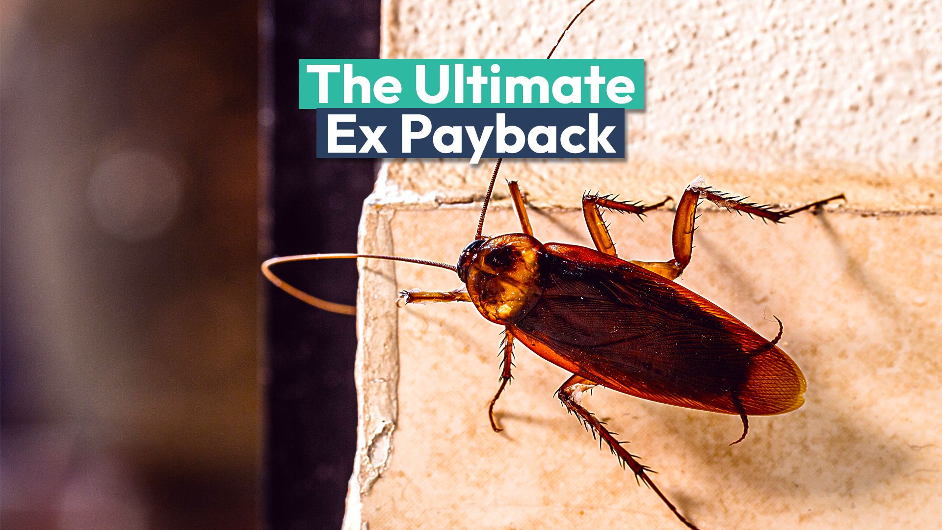 この米国動物園では、元の後にゴキブリに名前を付けて、バレンタインデーに動物に食べさせます