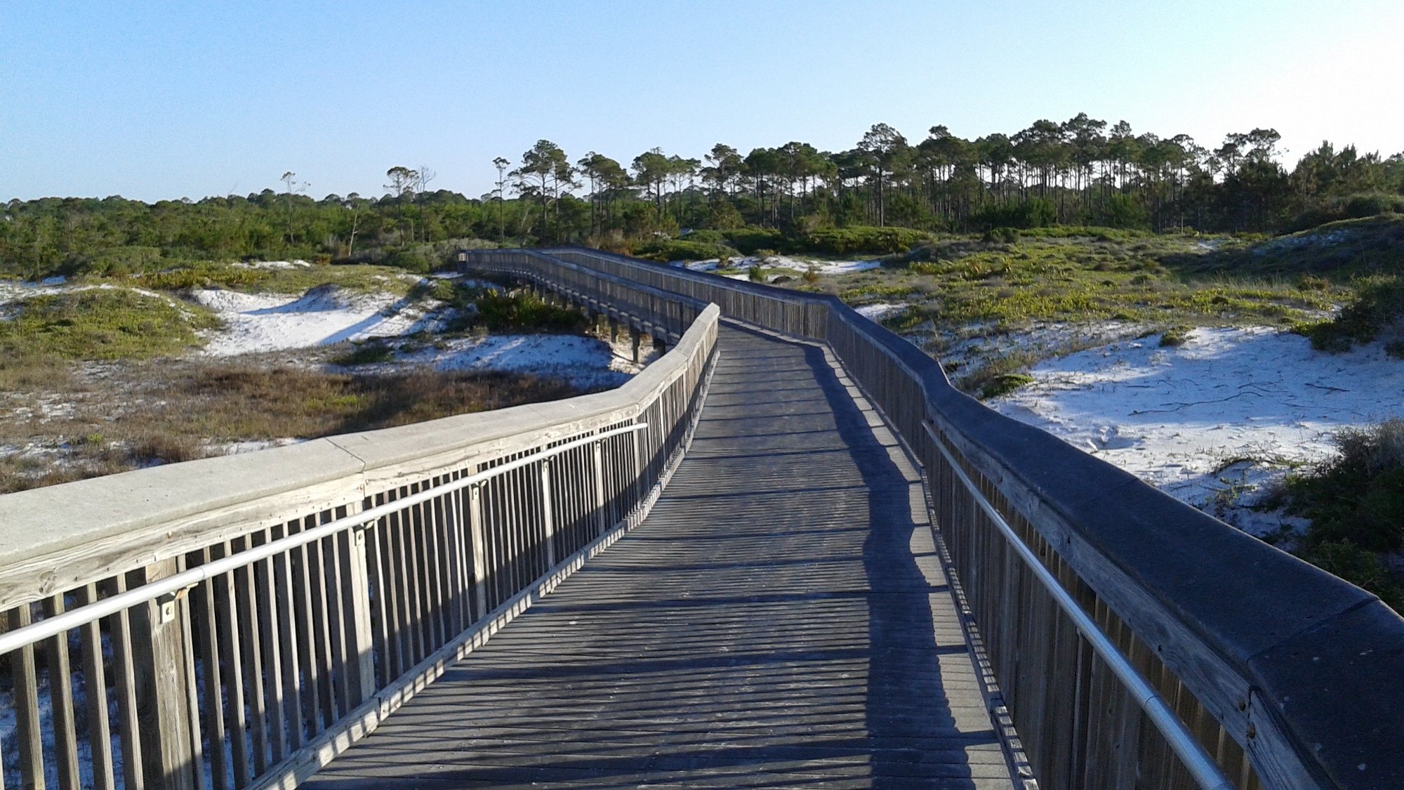 フロリダの3つのRV公園があなたを自然に浸す