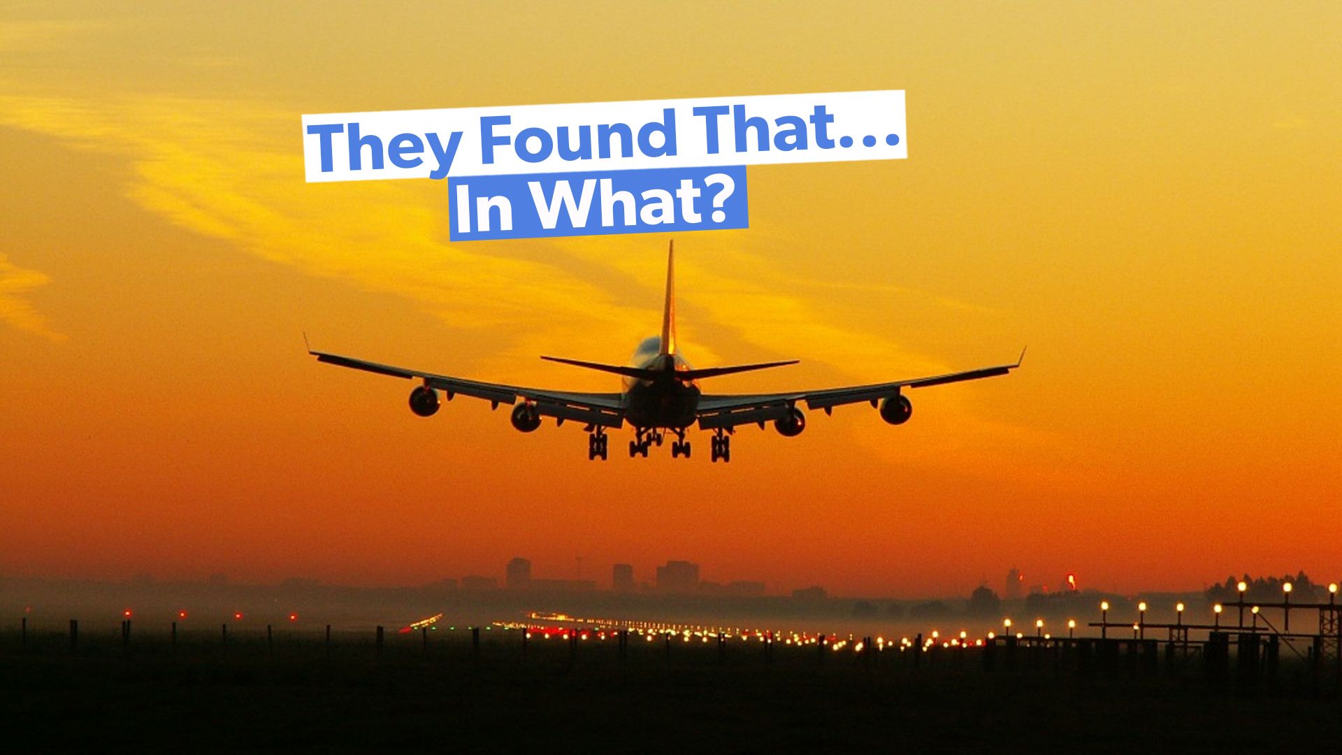 TSAの2024年のトップ10の最もクレイジーキャッチ