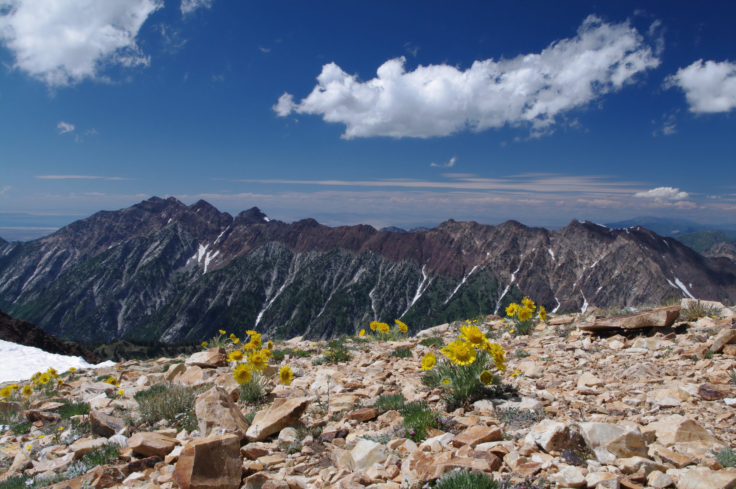 ユタ州で最も標高の増加を伴う7つの急なハイキング
