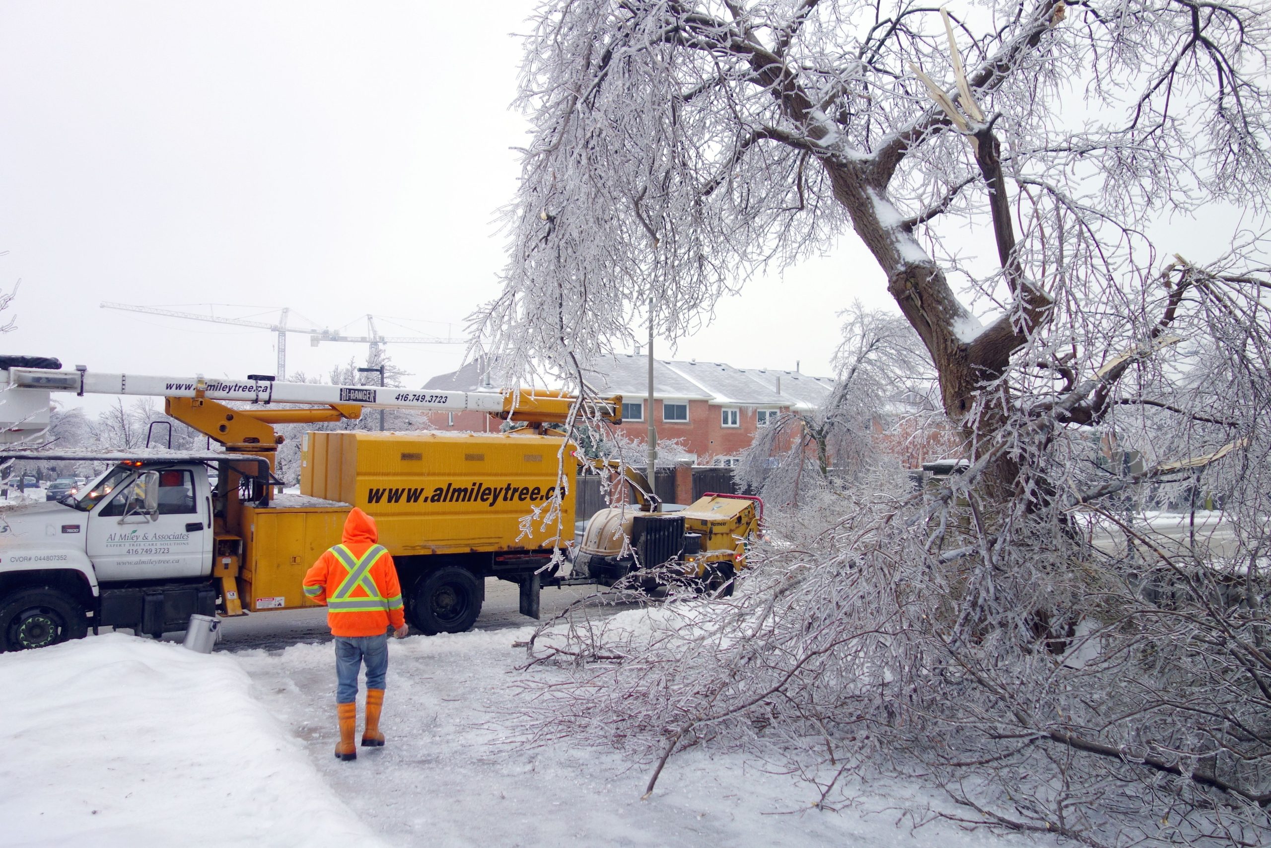 前例のない氷の嵐はカナダの一部を暗闇に突入します：当局は広範な停電と危険な旅行条件を警告します
