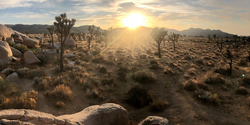 Covid-19が国内旅行の再発見をどのように支援しているか