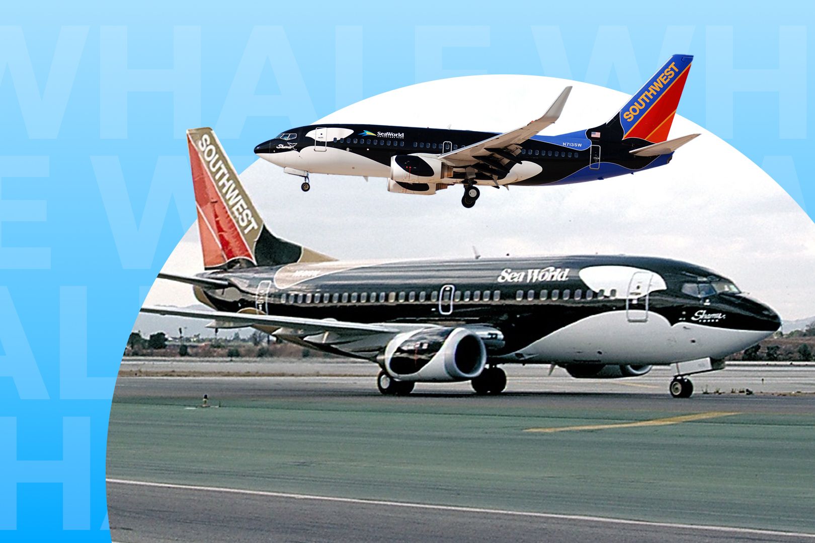 なぜ世界では、サウスウエスト航空がクジラのように見えた2ボーイング737を飛ばしたのですか？