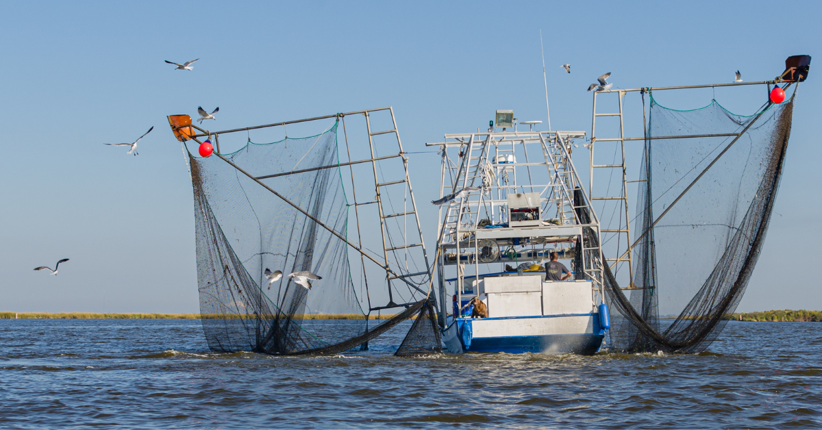 ルイジアナ州は、13億ドルの業界が消えていくため、魅力的ではなくなりました