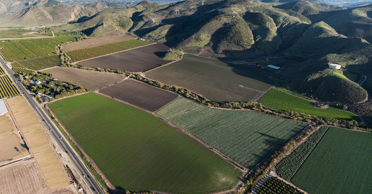 悲惨な気象条件は、トム・セレックの反ホリウッド牧場を台無しにしました