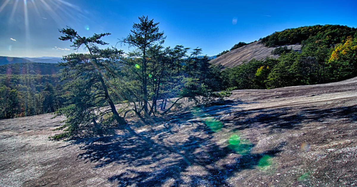 ブルーリッジマウンテンズデスダイヤルは、パークウェイのcrash落に続いて上昇します
