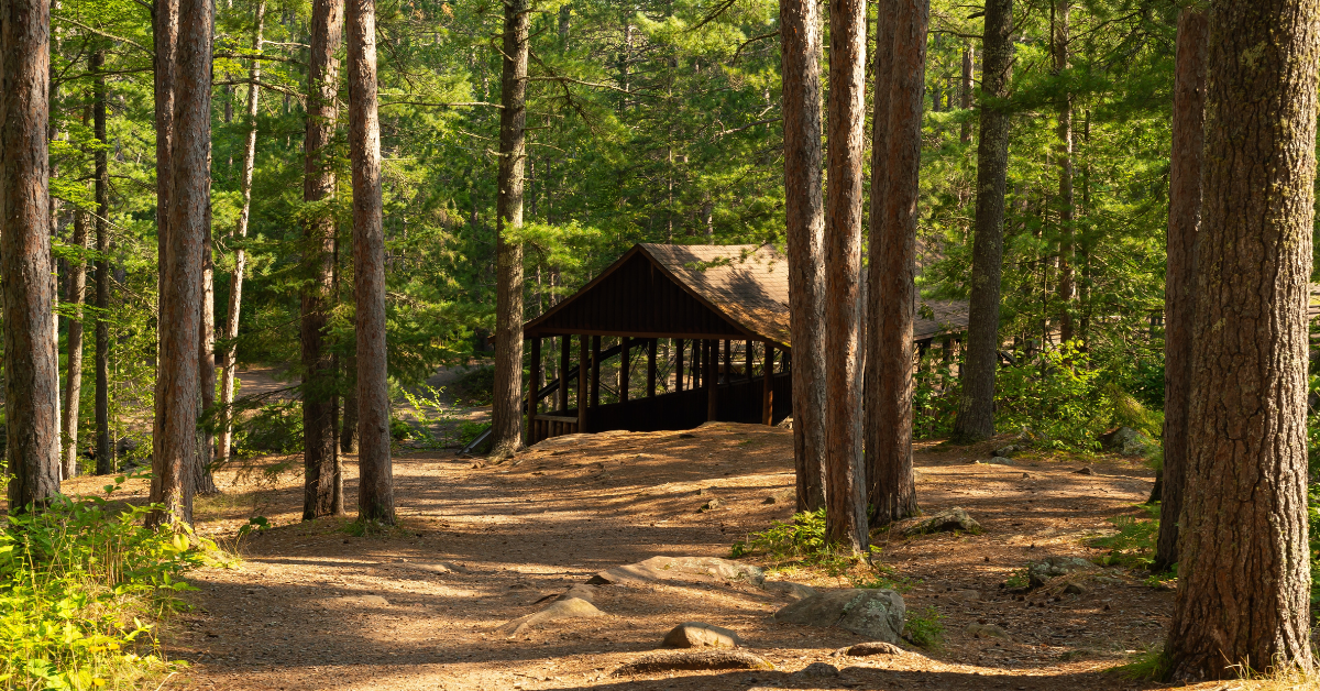 Redditユーザーは、12歳がウィスコンシンでのクマの攻撃から父親を救った後、さまざまな反応を持っています
