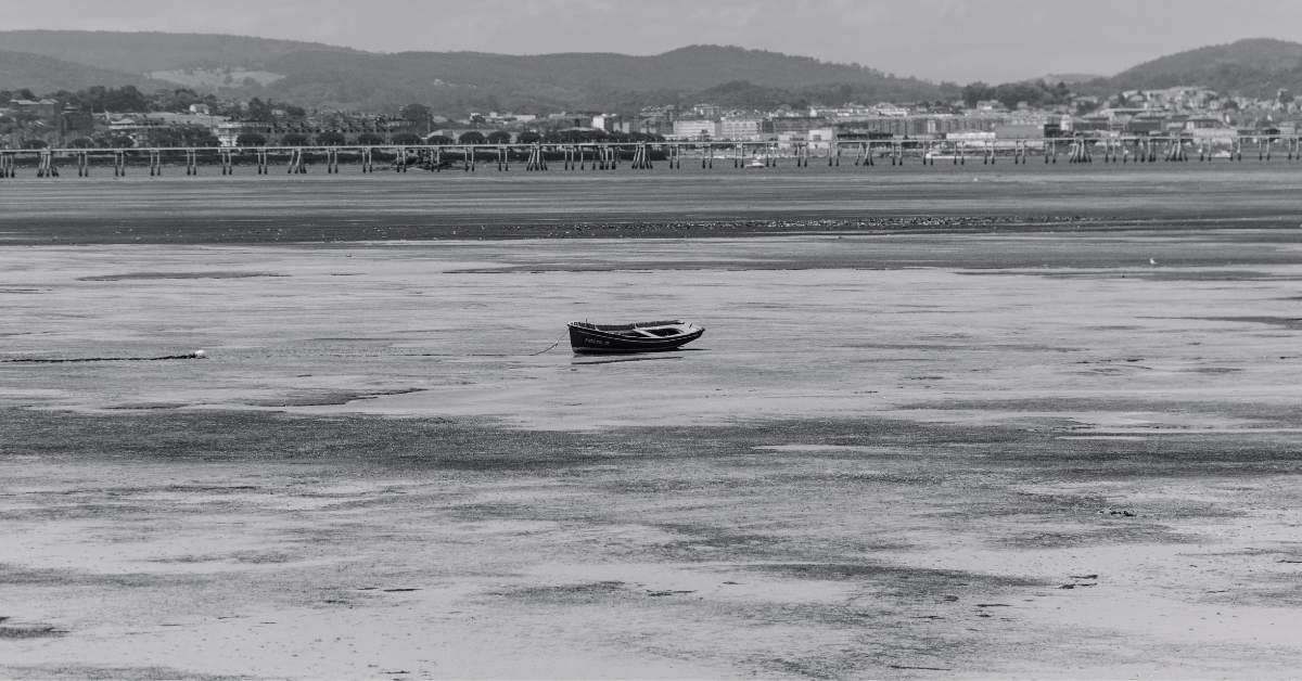 感情的な映像は、米国沿岸警備隊がハリケーンヘレン中に立ち往生した帆船で男と犬を救うことを示しています