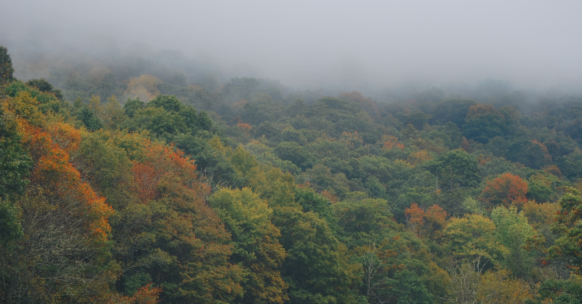 英雄的な映像は、ノースカロライナの男がありそうもないオブジェクトでヘリコプターを追跡していることを示しています