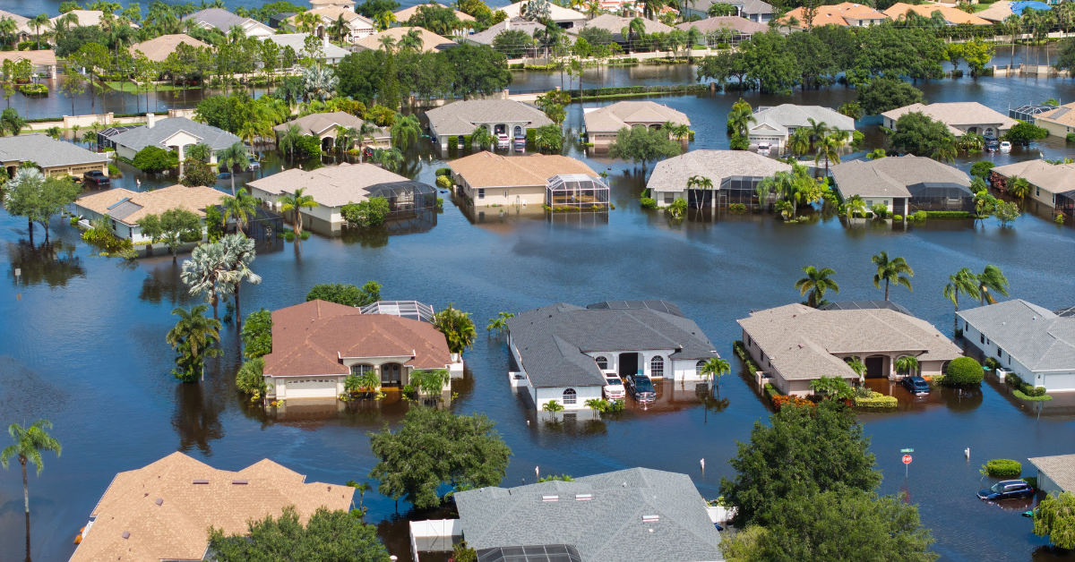 Xユーザーは、カテゴリ6ハリケーン映像をオンラインで広めることに腹を立てています