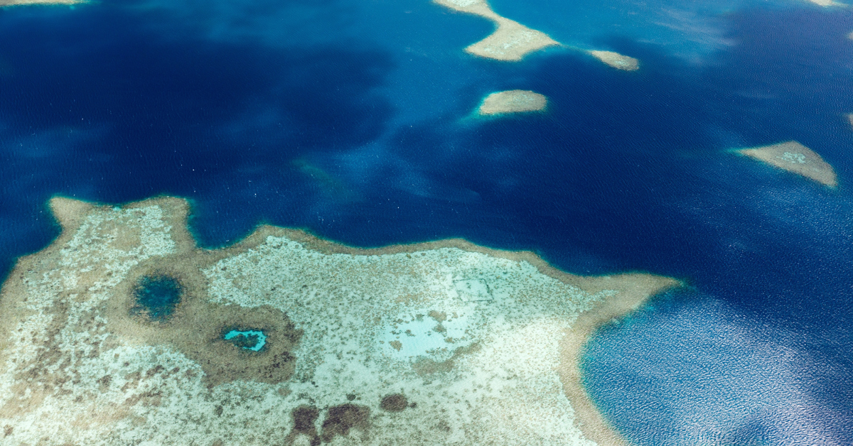 研究船は希望を回復し、5つのテニスコートの大きさの環境に優しい水中発見を見つけます