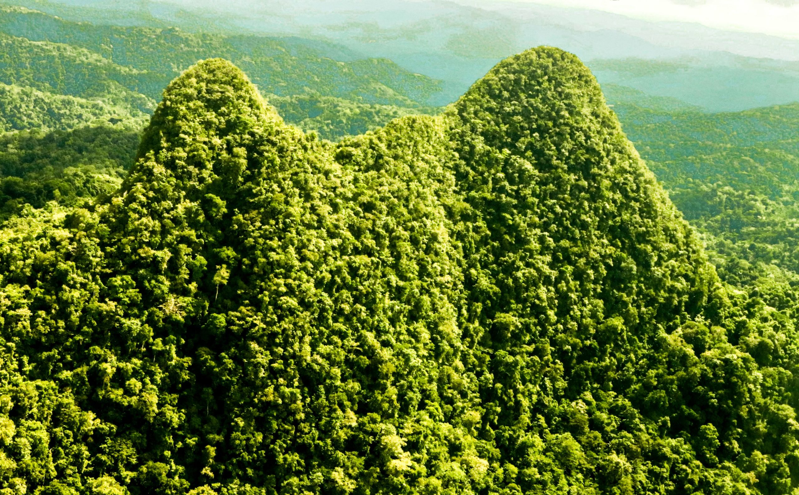 古代の「失われた都市」は、22の新種を含む進化についての信じられないほどの秘密を明らかにしています