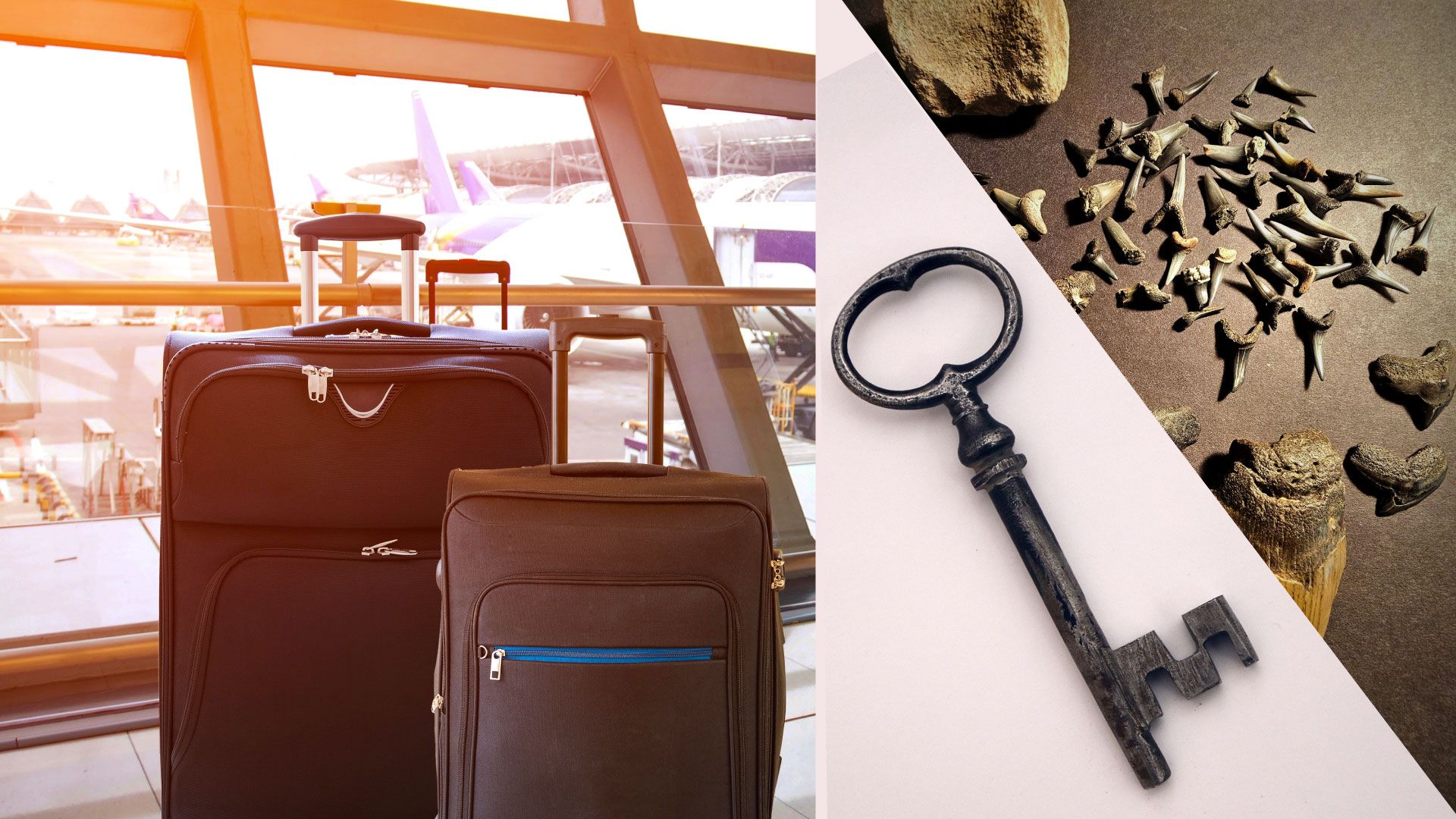 サメの歯からNASAのカメラまで、この小さなアラバマの町は、米国で失われた荷物の唯一の小売業者です