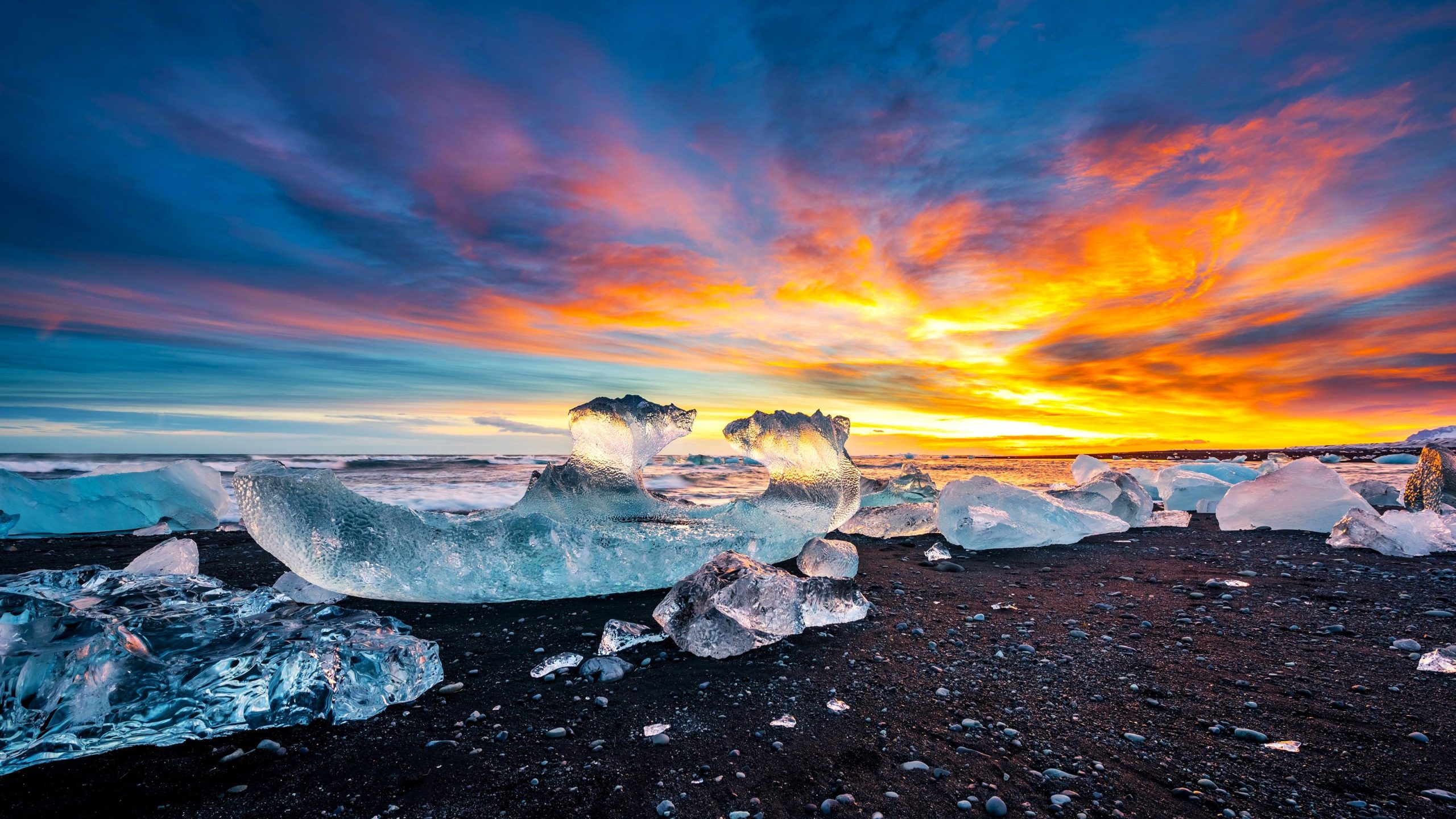 10北極で最も信じられないほどの発見