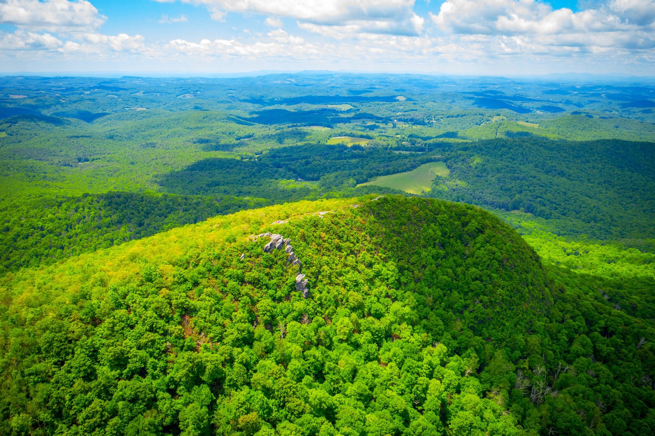 ナッシュビルとナパバレーのバージニア州のミニバージョンはブルーリッジマウンテンズにあります