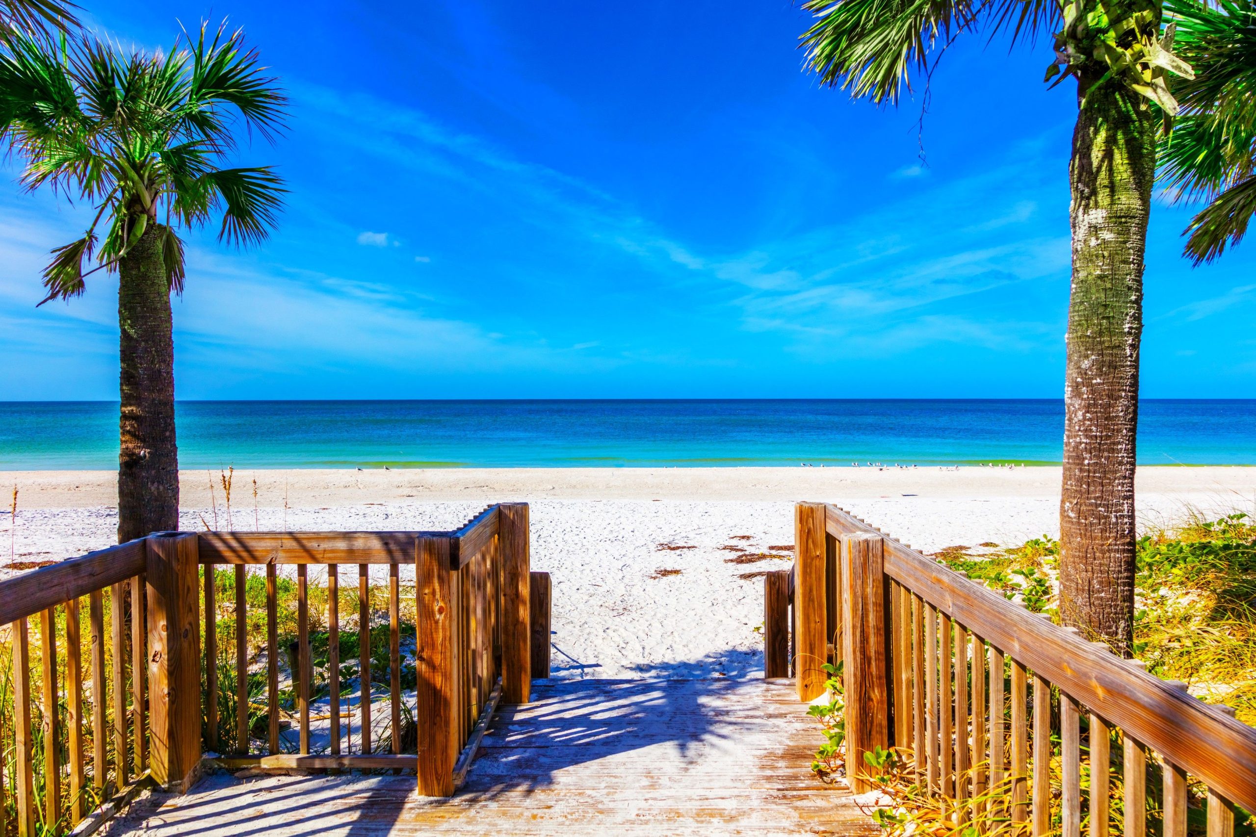 フロリダの過小評価されているアンナマリア島と寒さ（＆群衆）を交換する