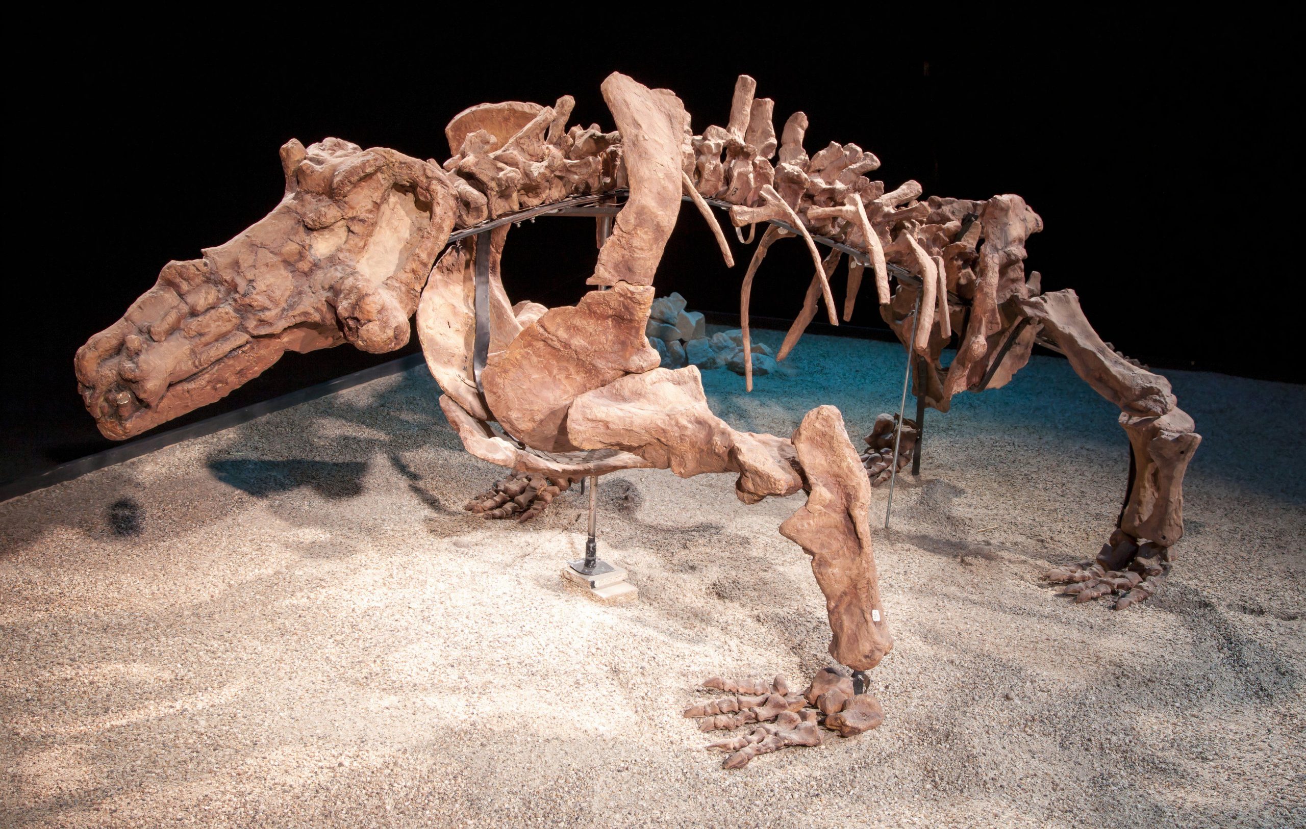 世界で最も恐ろしい古代の捕食者は、恐竜より1,000万歳年上でした