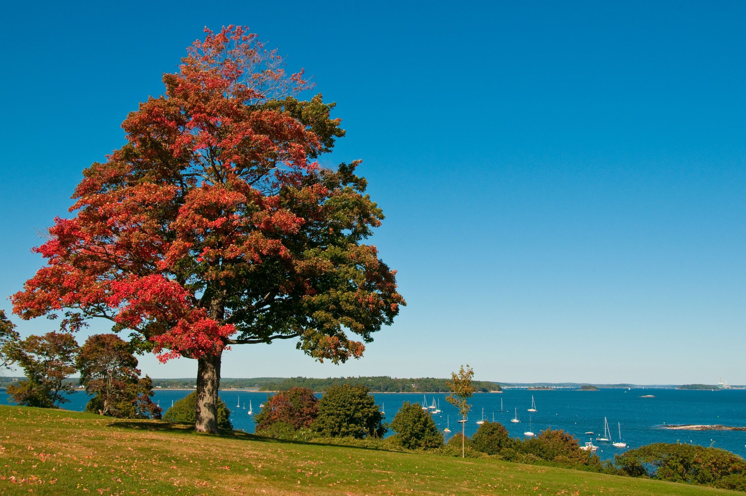 私はちょうどメイン州ポートランドを訪れました：これが私が違ったやり方ですることです