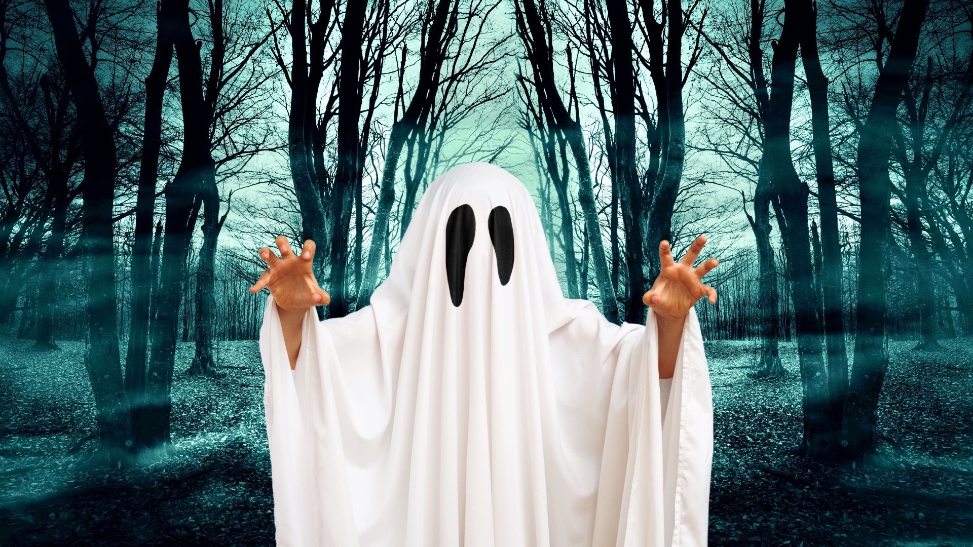 5不気味なアパラチアの民俗物語（＆それらが起こる場所）