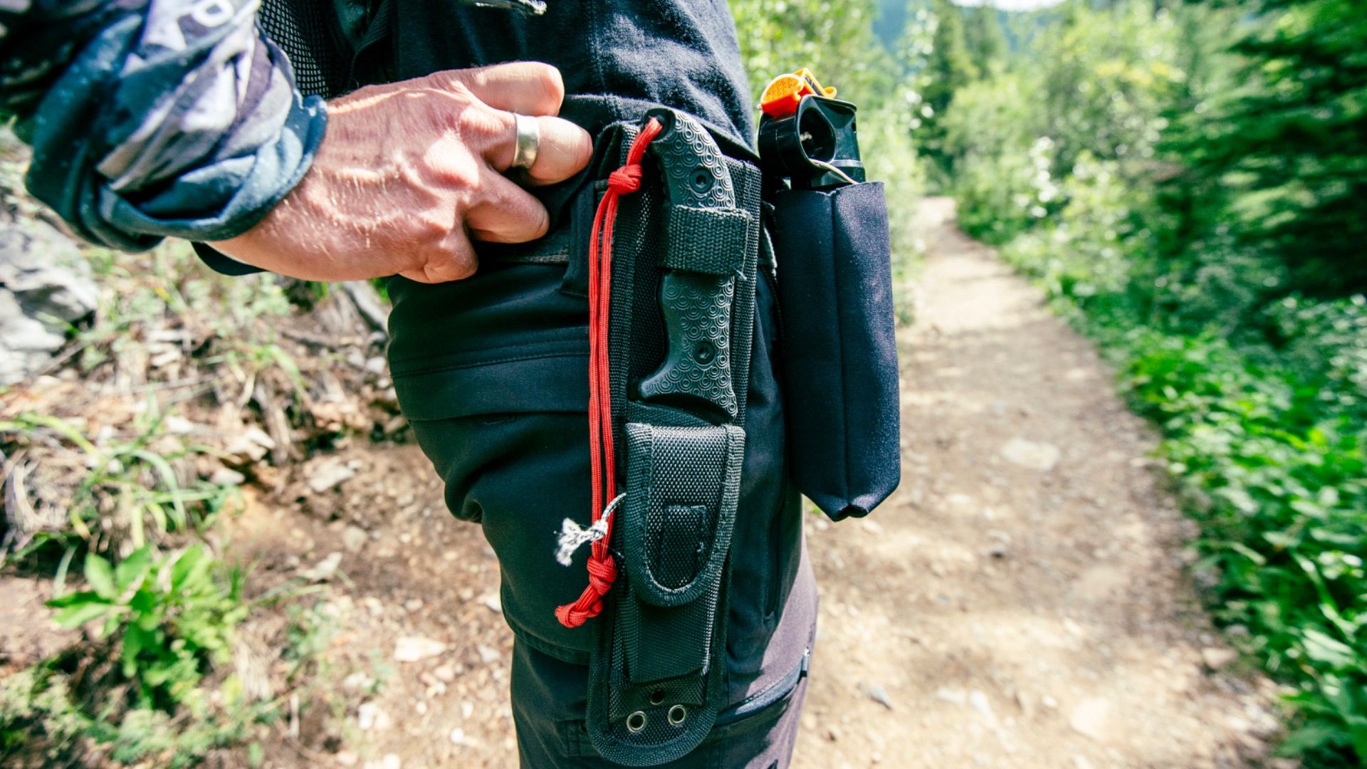 クマのスプレーを使用して、他の危険な動物をかわすことができますか？