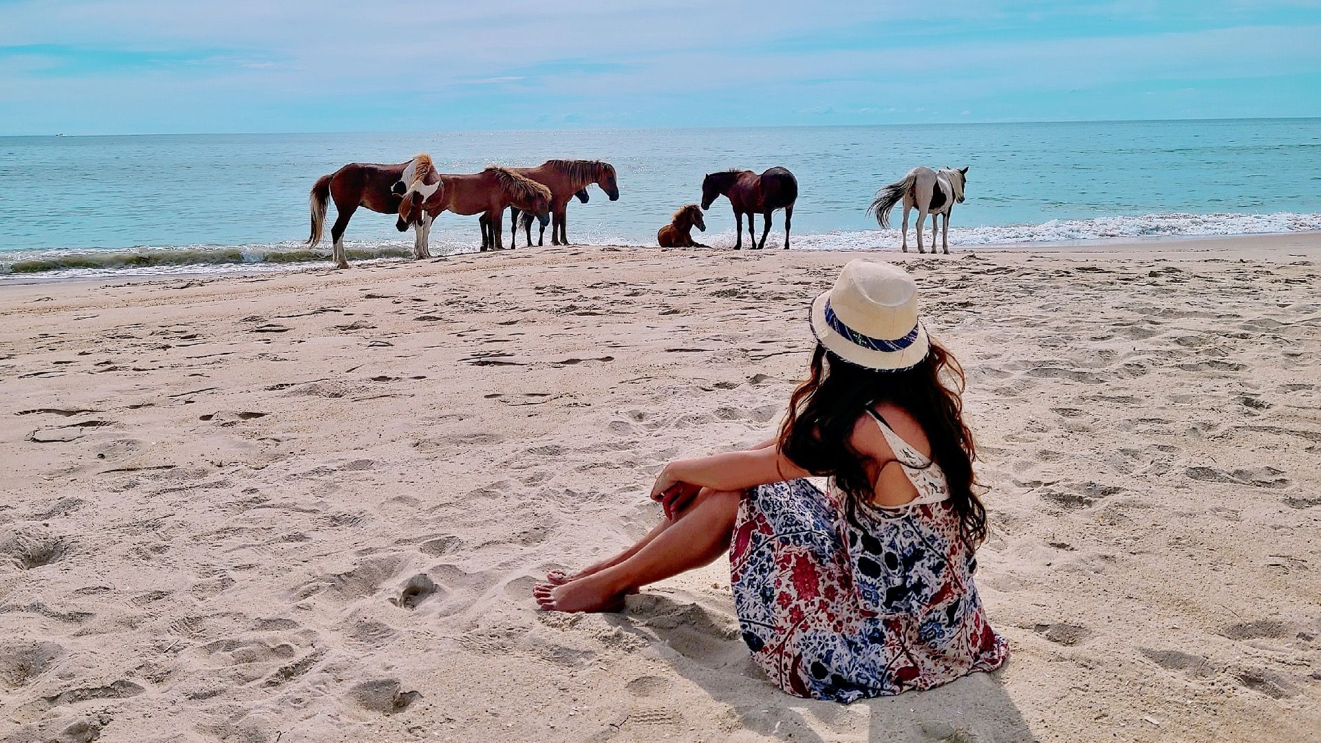 あなたがほとんど持っている可能性が高い10の野生生物の出会い（地域別）