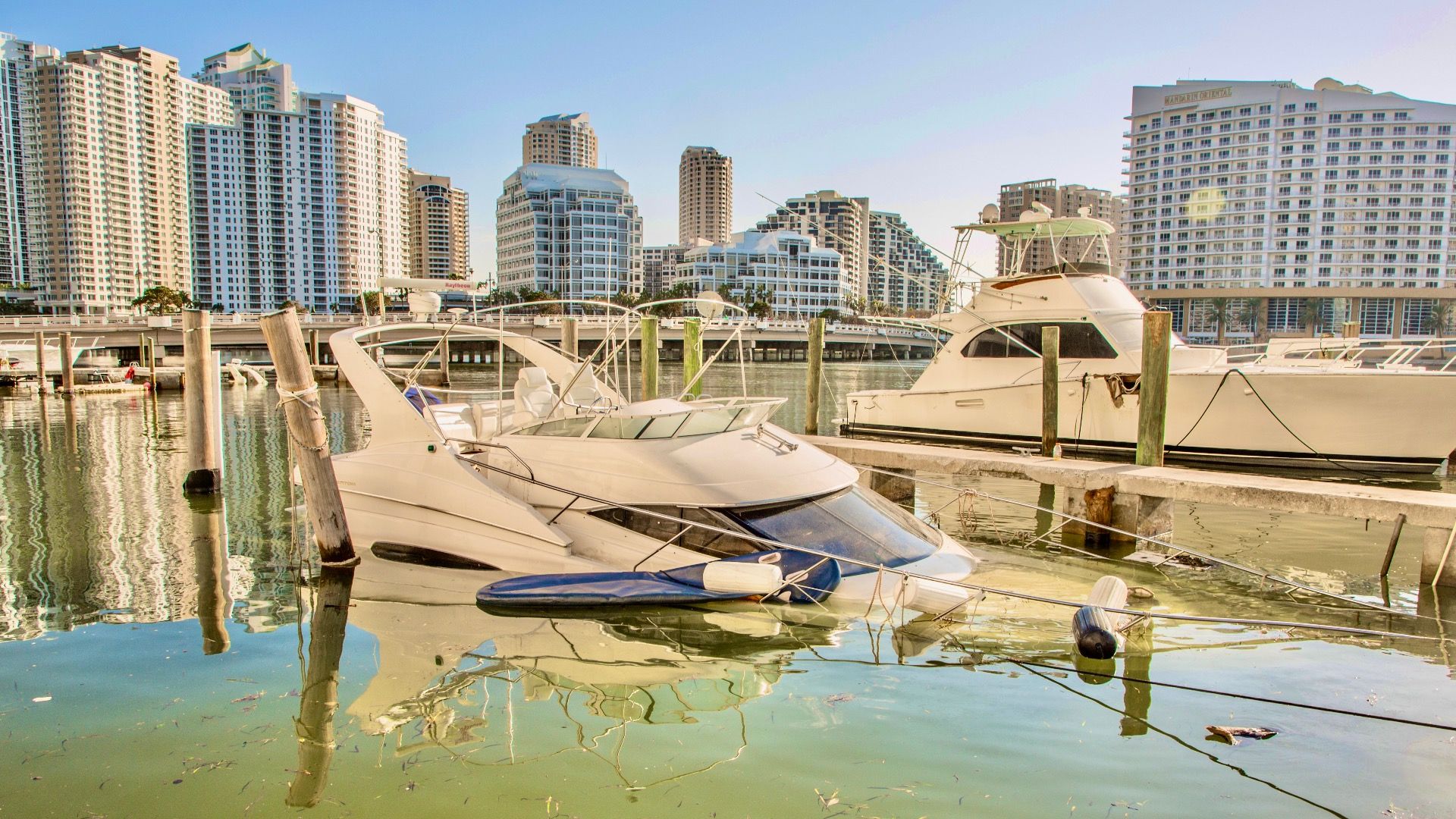 フロリダは海に沈むかもしれません…私たちは準備ができていますか？