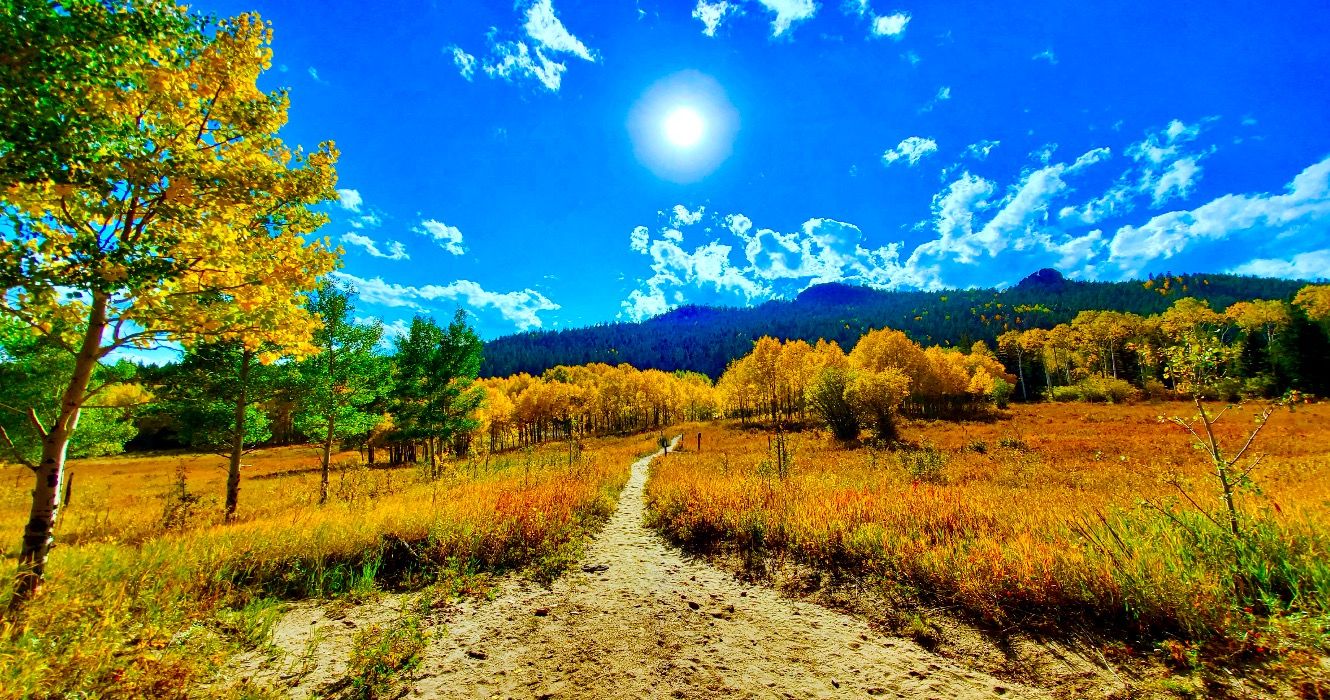 風光明媚なハイキングで米国で10の最高の州立公園