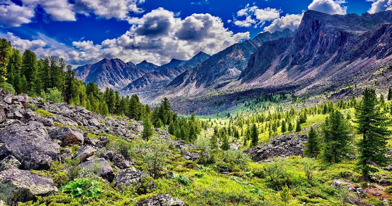 世界最大の森は素晴らしいですが、訪れることはできません