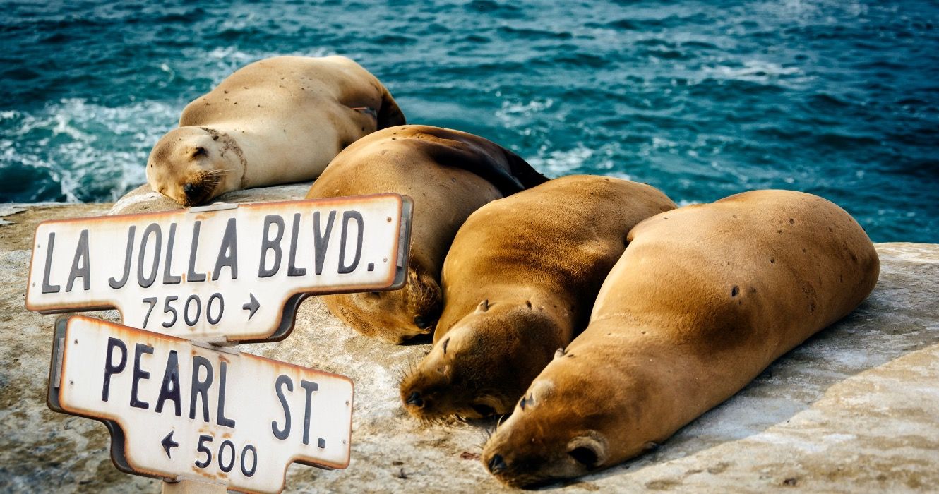 ビーチ愛好家のための9つの小さな沿岸カリフォルニアの町