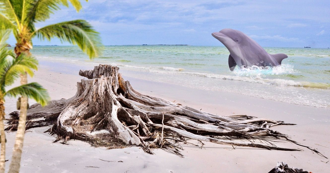 この過小評価されているフロリダ公園には、最高の砂浜のビーチがあります