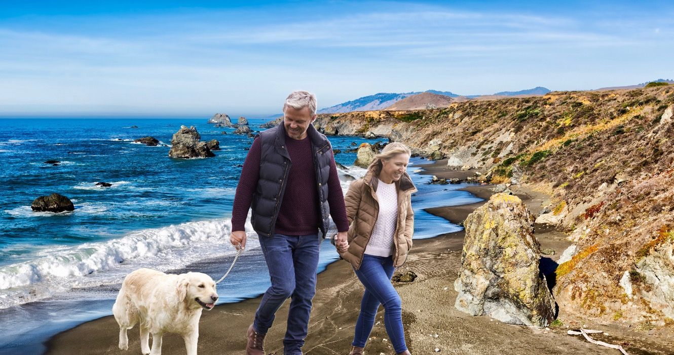 魅力的な沿岸の景色を望む9カリフォルニア州立公園