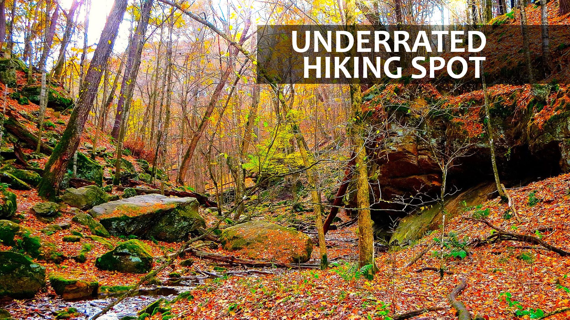 アイオワの小さな「グランドキャニオン」は、あなたが聞いたことがない中西部で最も過小評価されているハイキングスポットにあります