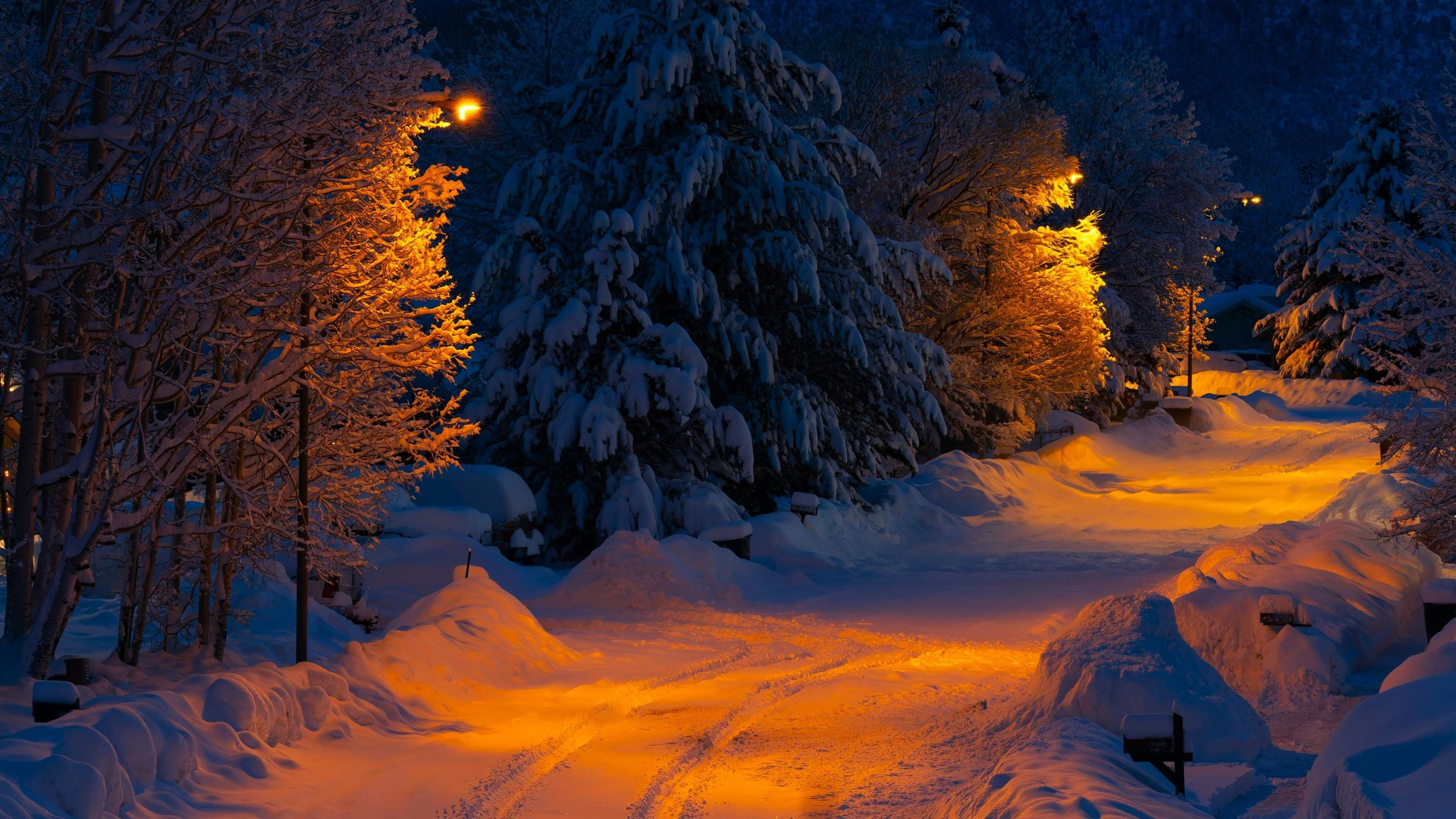あなたが決して期待していなかった州には、米国で最も雪の中で最も雪の多い山の町があります
