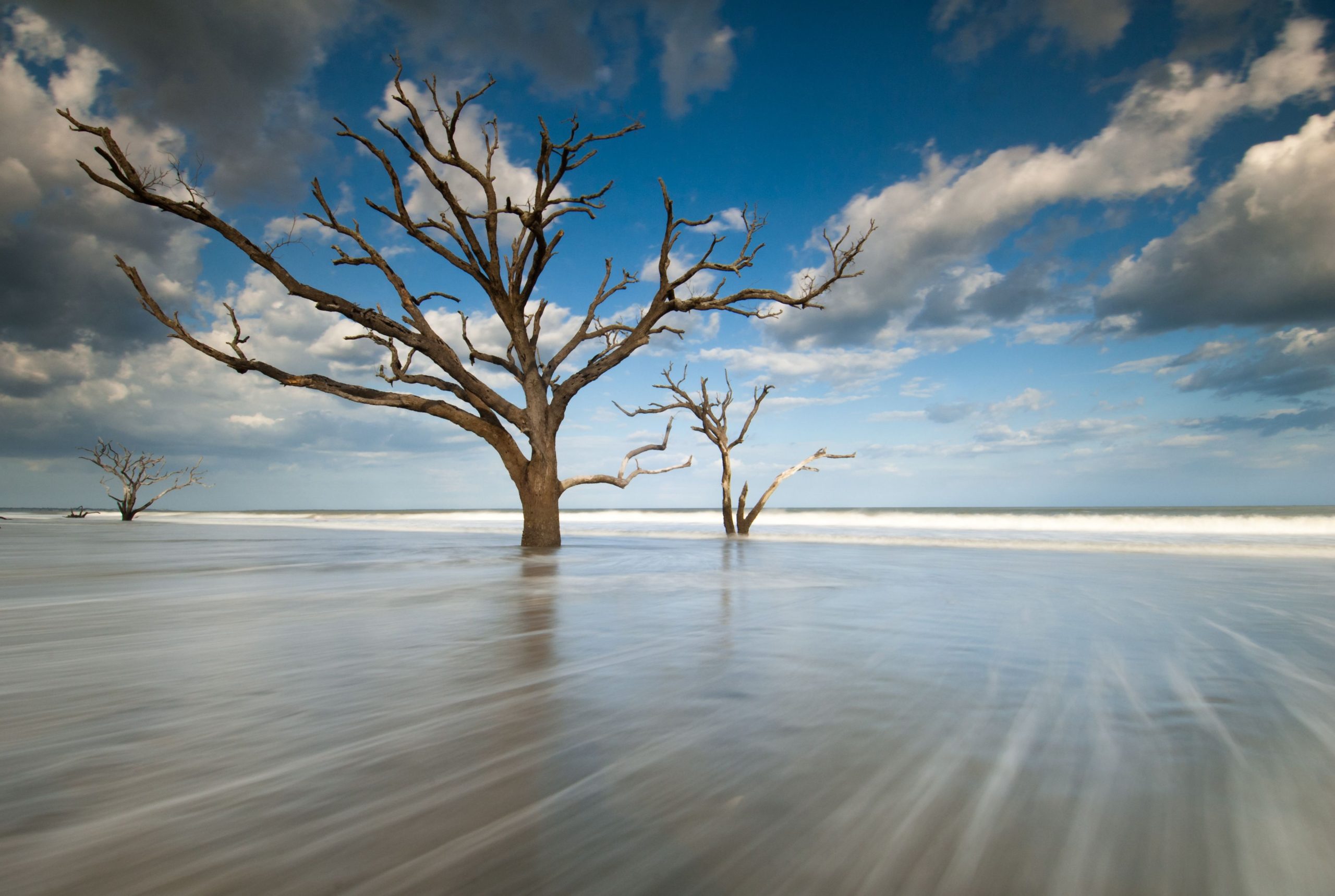 この「木の墓地」は、サウスカロライナで最も壮大な秘密のビーチの1つです