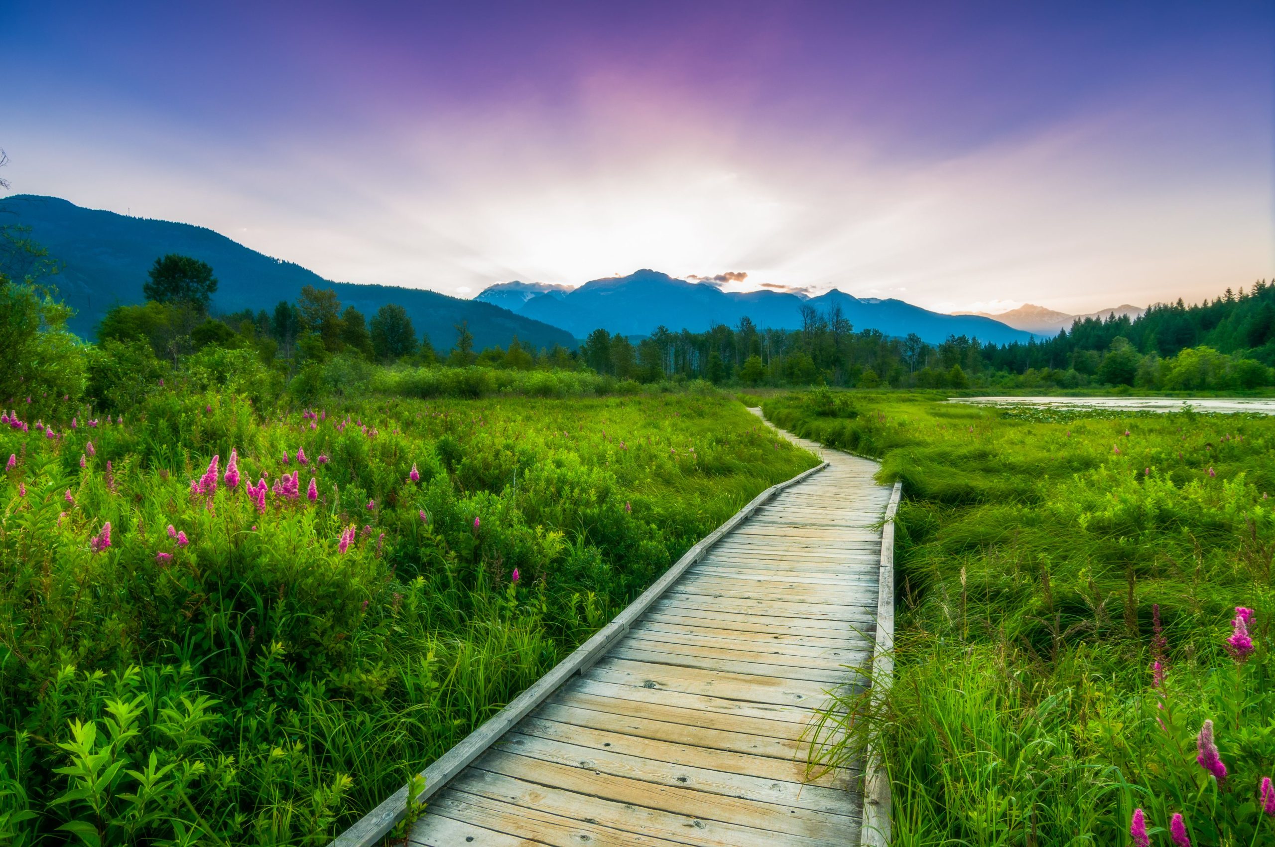 カナダで最も美しい場所は、あなたが聞いたことがないこの小さな町です