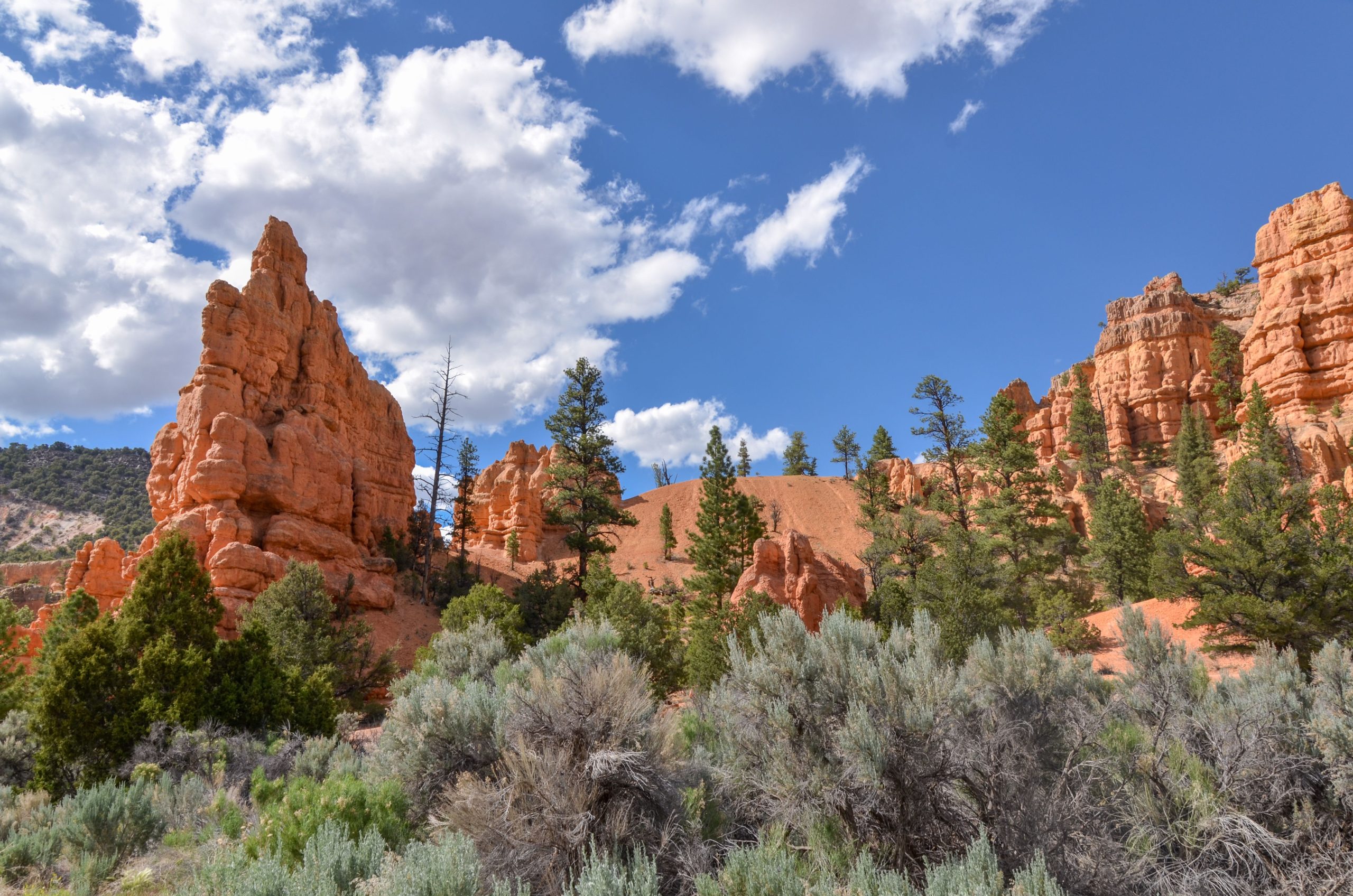 ユタ州の国立公園をスキップ：州最大の国有林は近く、より大きく、より良いです
