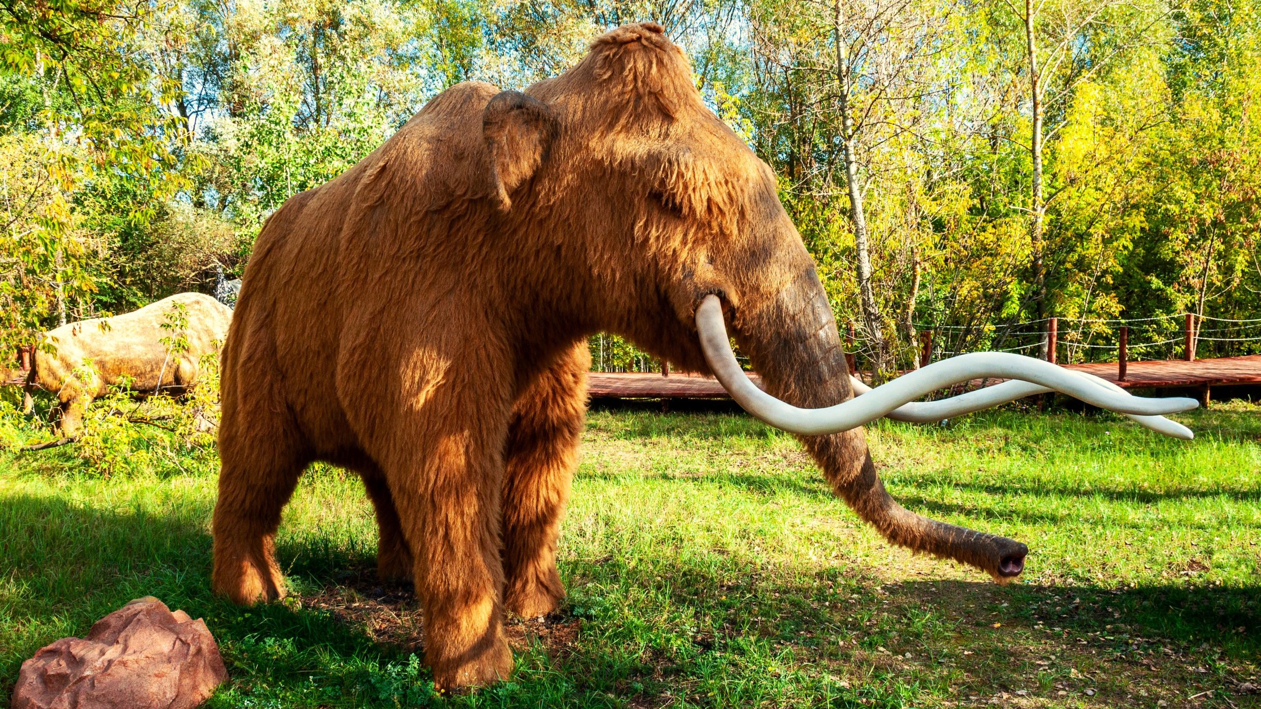 実際に存在する可能性のある8つの絶滅した生き物