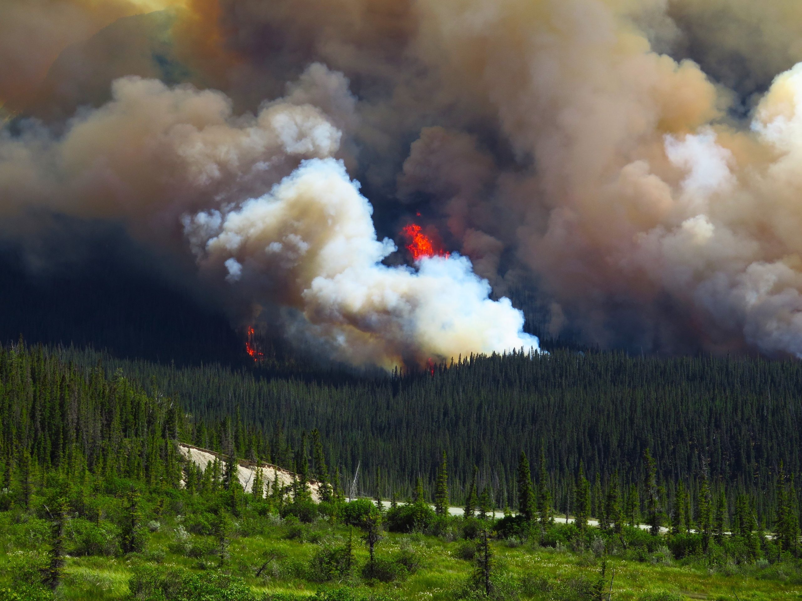 私たちは、山火事が安全を脅かすため、カナダの新しい旅行警告を発行します