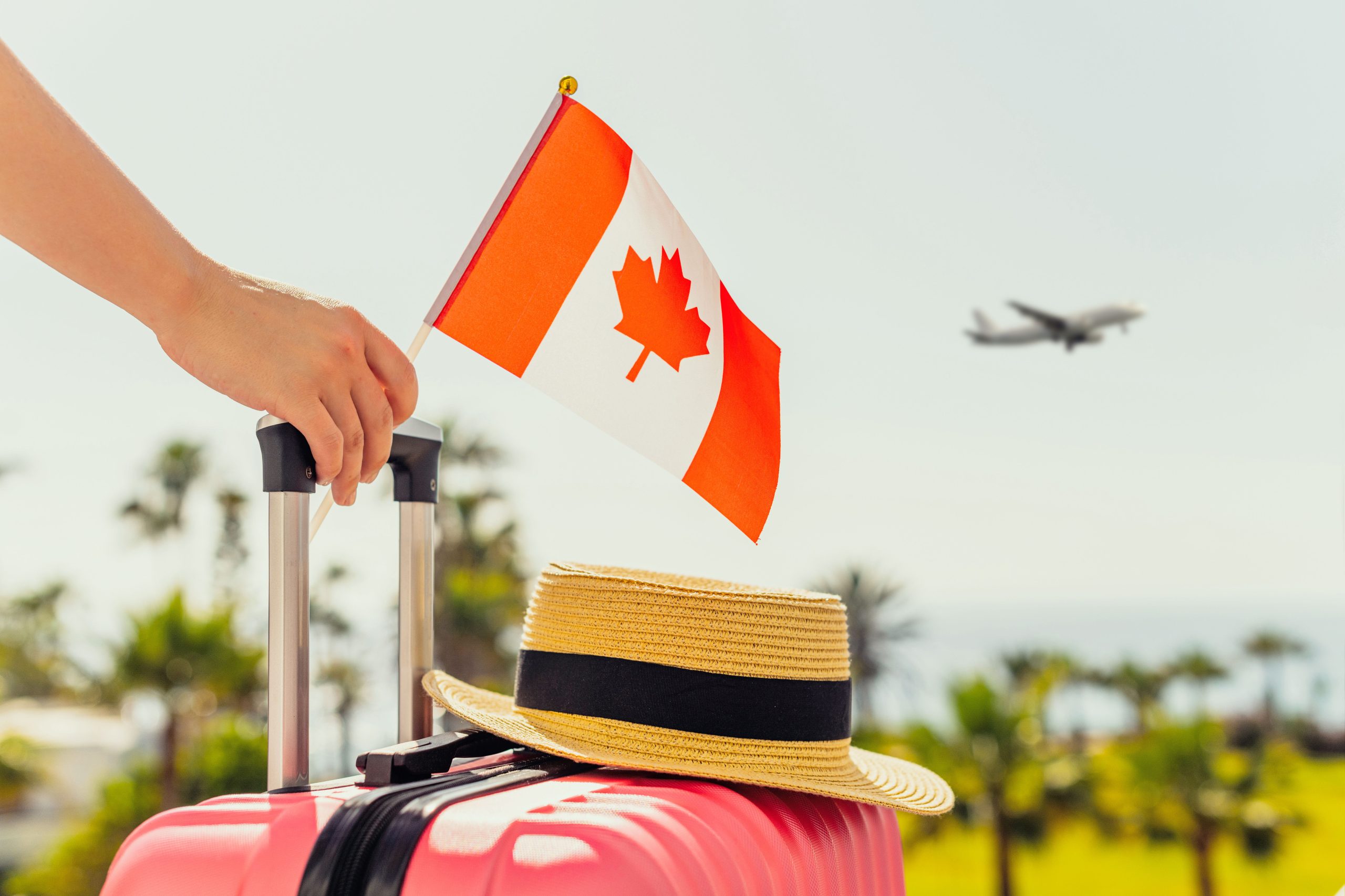 航空会社がヨーロッパやラテンアメリカに移り、フライトを削減するにつれて、カナダ人は私たちをボイコットします。