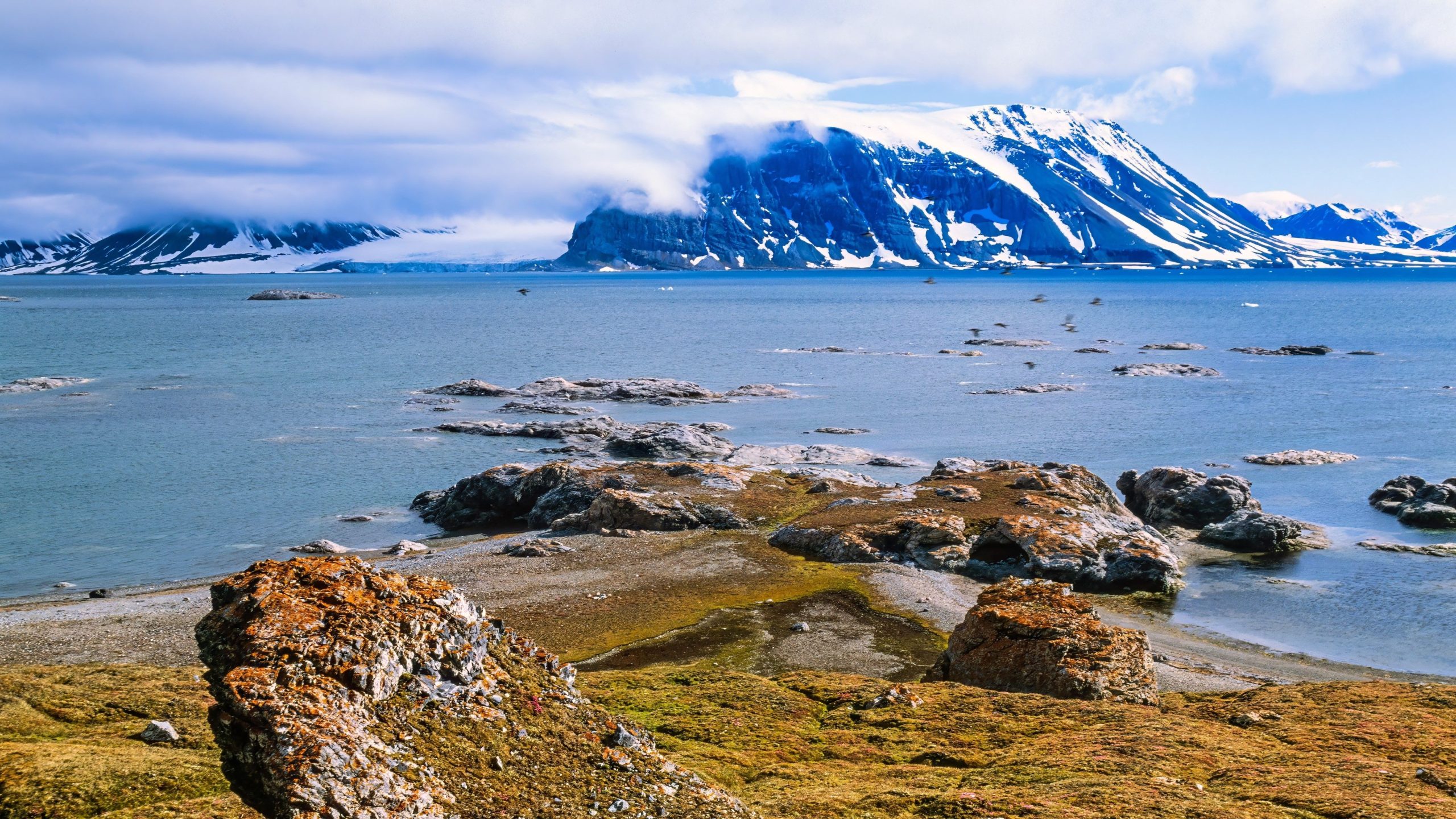 8魅力的な化石は、その段階的な専門家を見つけます