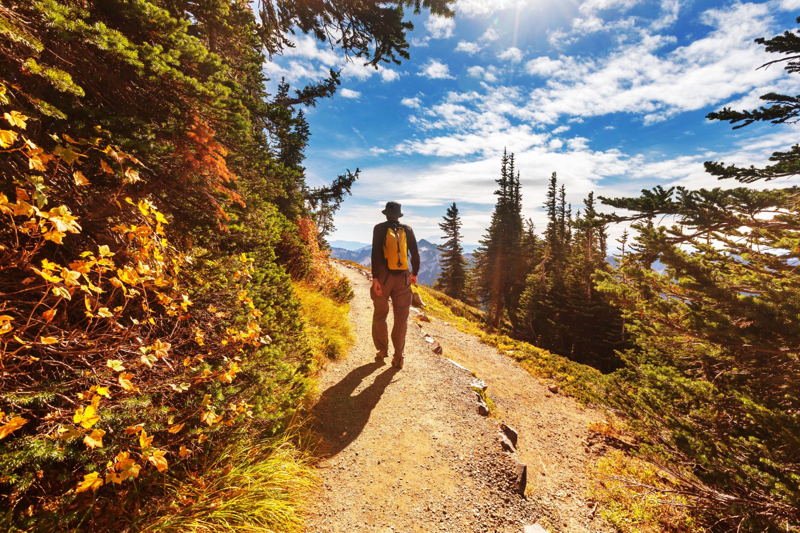 モンタナの最もクールな冒険は、あなたが知る必要がある最新のトレンドです