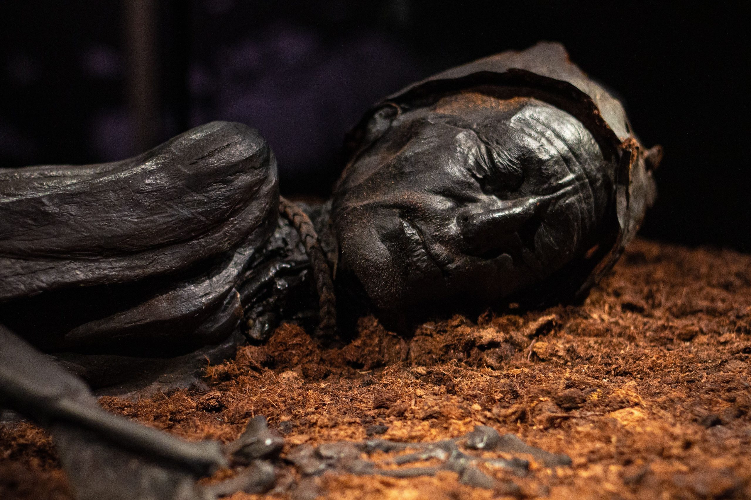 オーストリアのミイラは、ユニークな方法のおかげで驚くべき保存で科学者の頭を回します