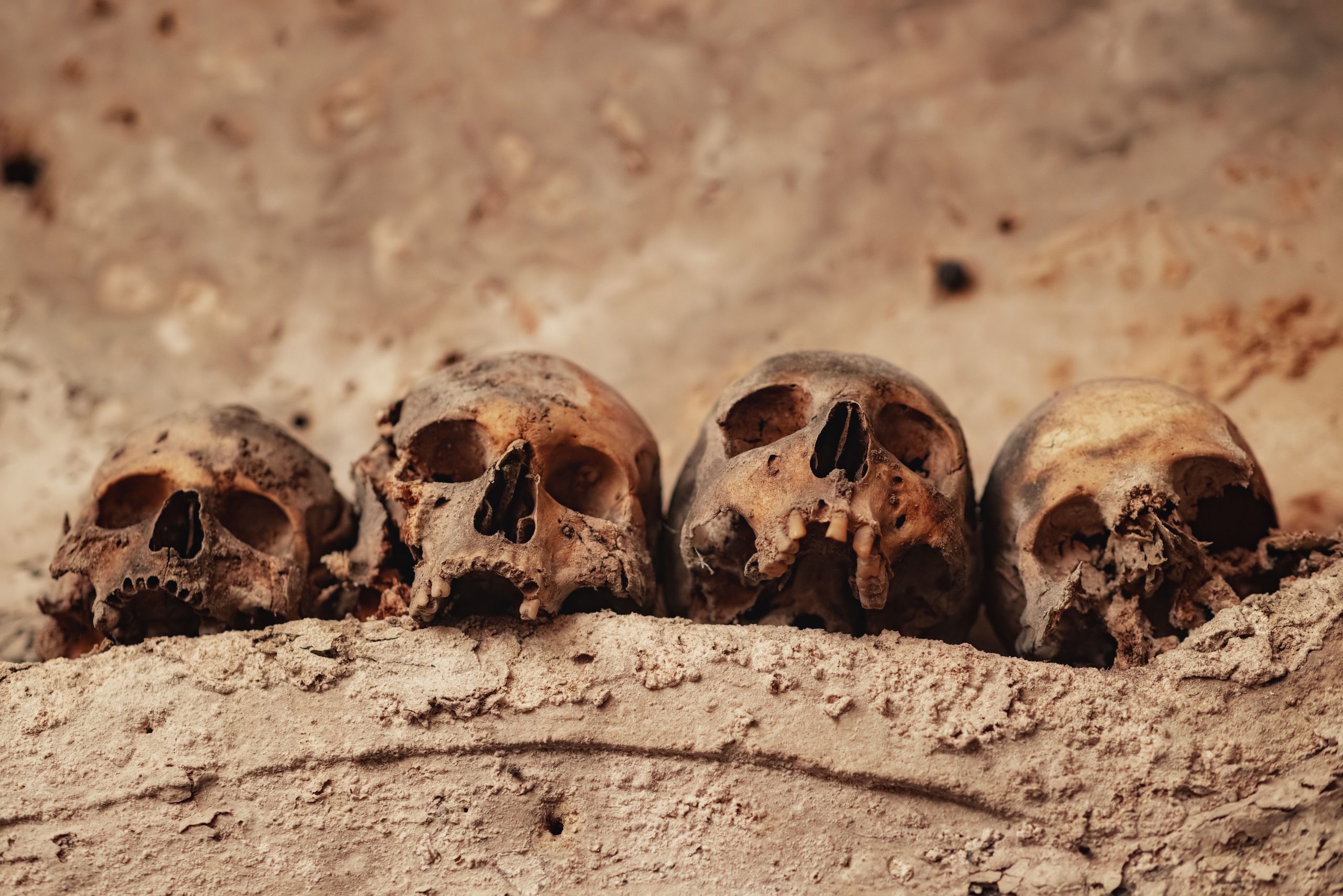 イタリアの町で見つかった15の先史時代の頭蓋骨の驚くべき発見