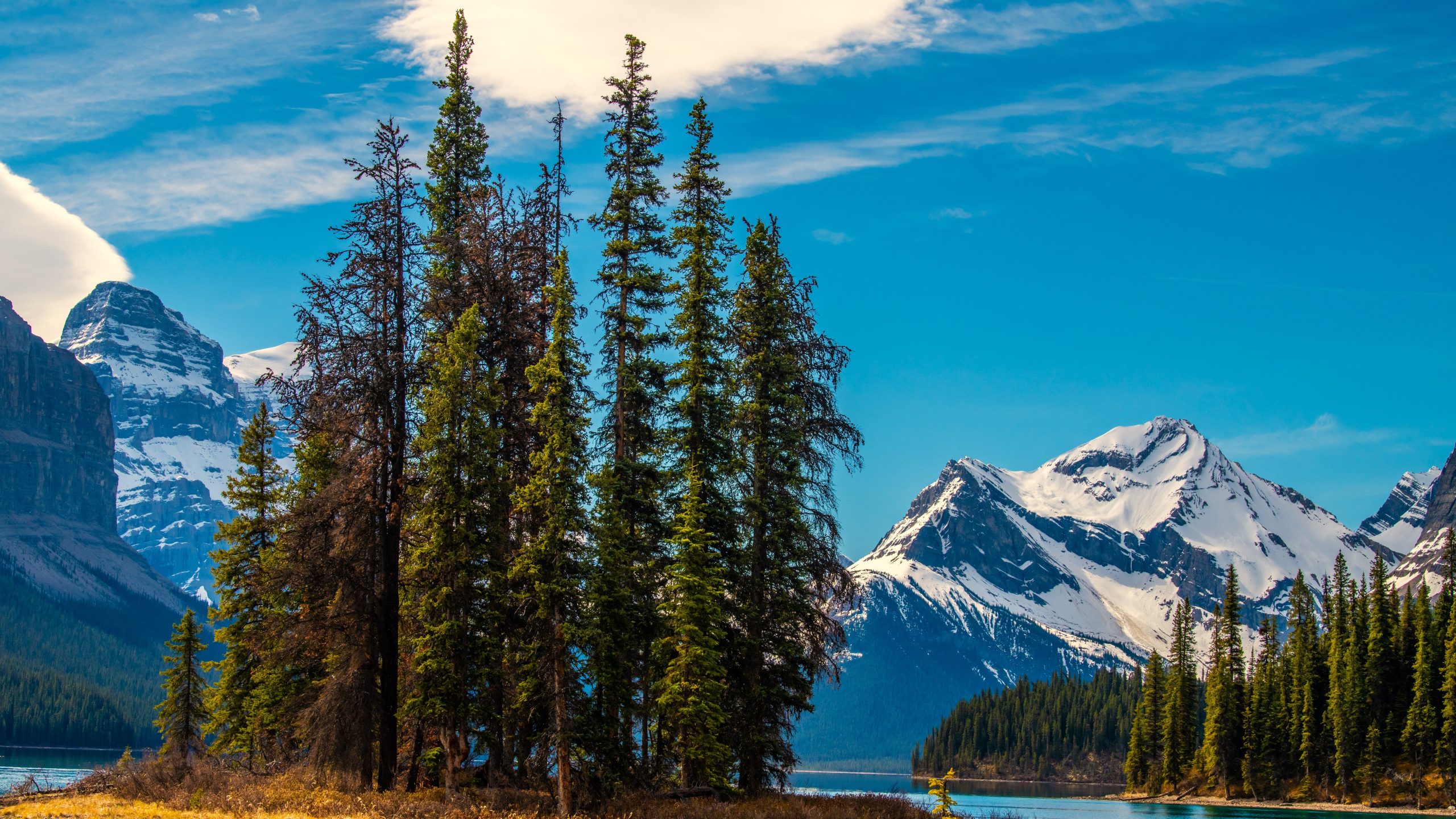 このカナダの北極海底は、それ自体の環境の都市と本拠地の大きさです