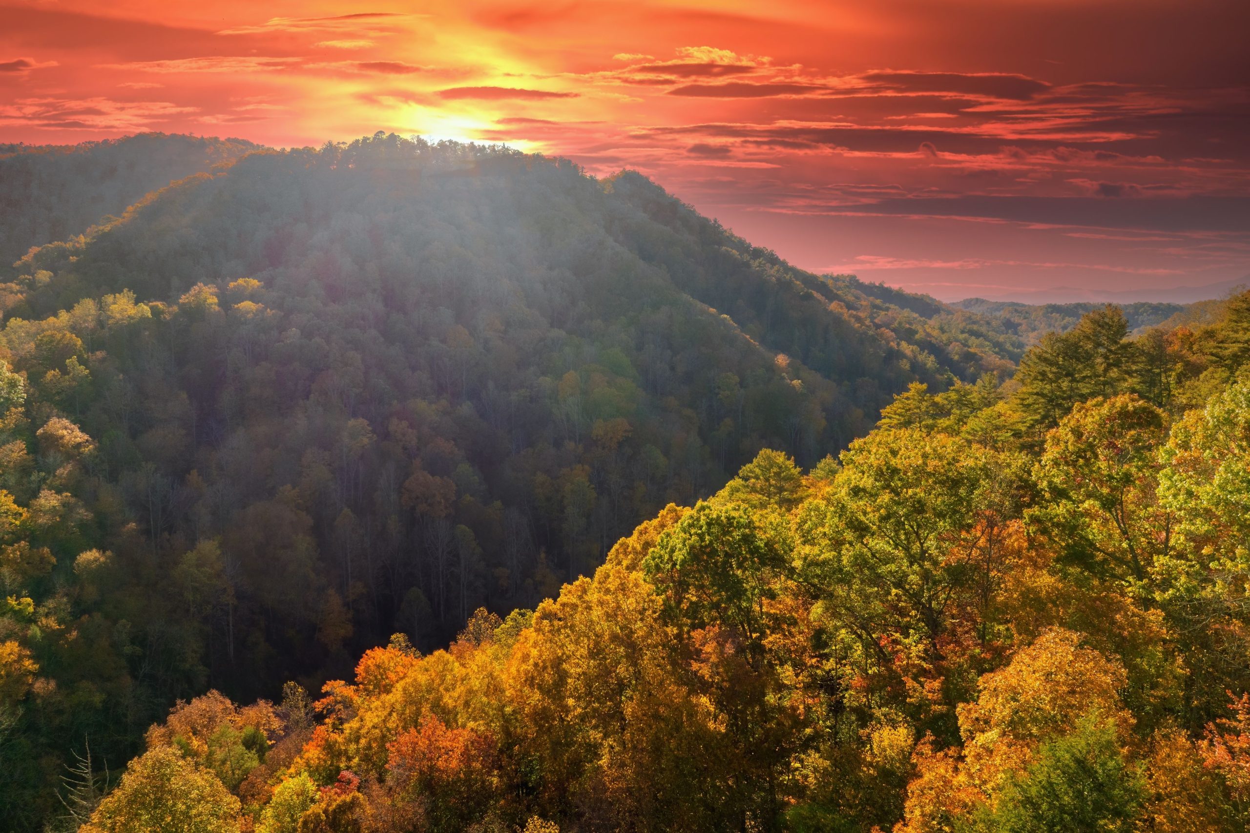 アパラチア山脈もアフリカとヨーロッパでも見られる理由