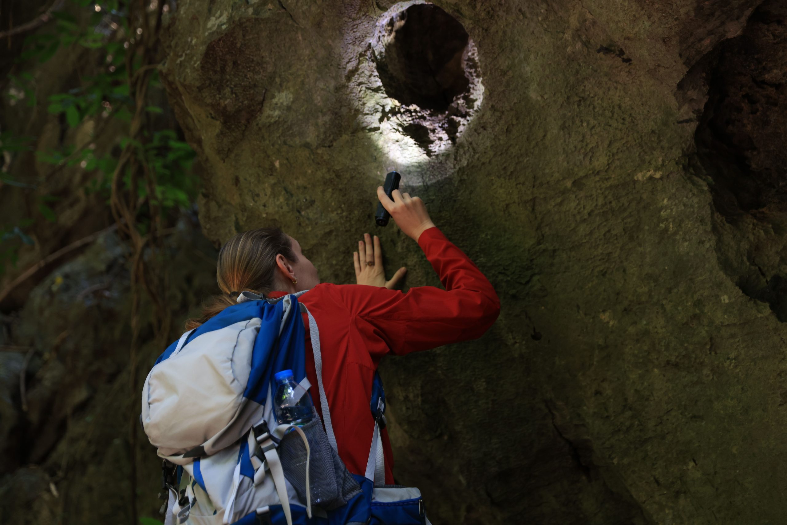 ロッキーマウンテンズでの6、000年前の散乱はエキサイティングで恐ろしいものです